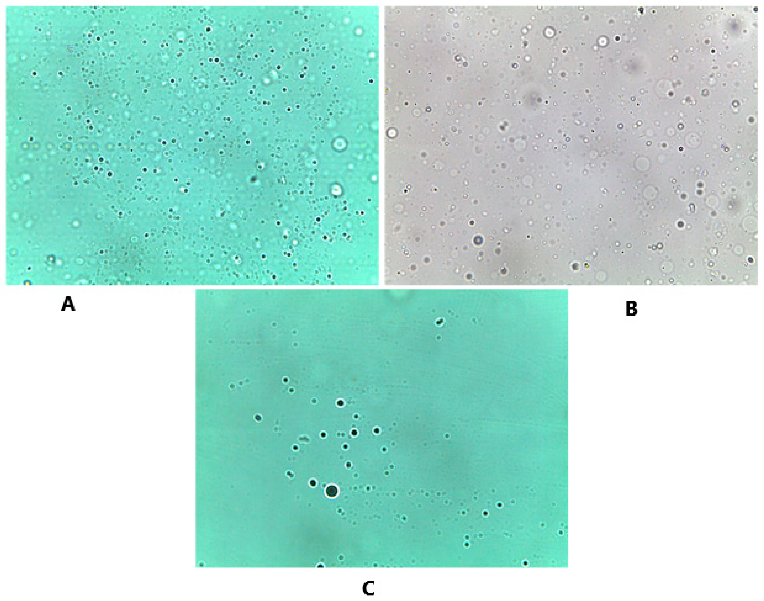 Pharmaceutics 11 00350 g006 Pharmaceutics 11 00350 g006