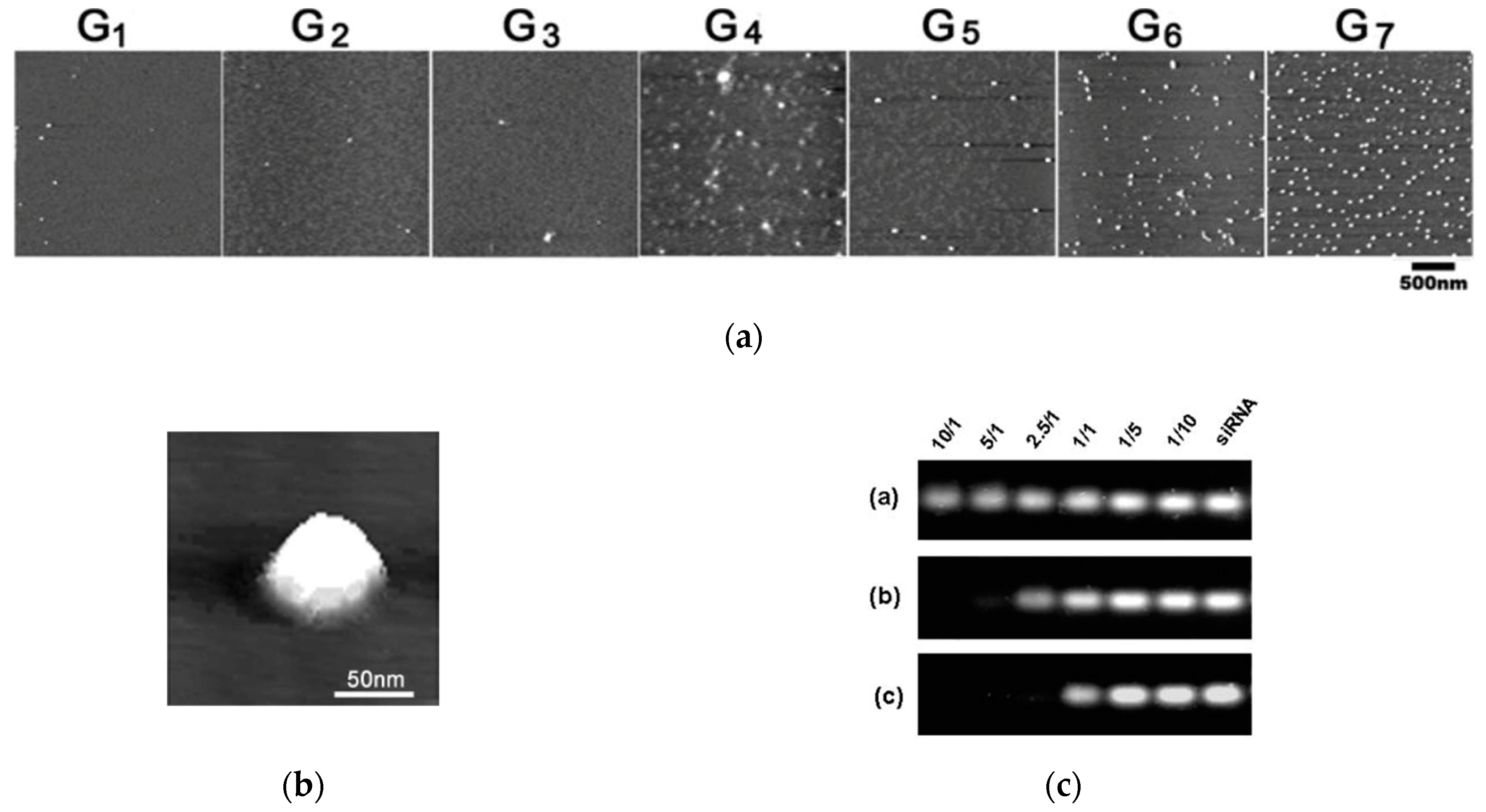 Pharmaceutics 11 00351 g004 Pharmaceutics 11 00351 g004