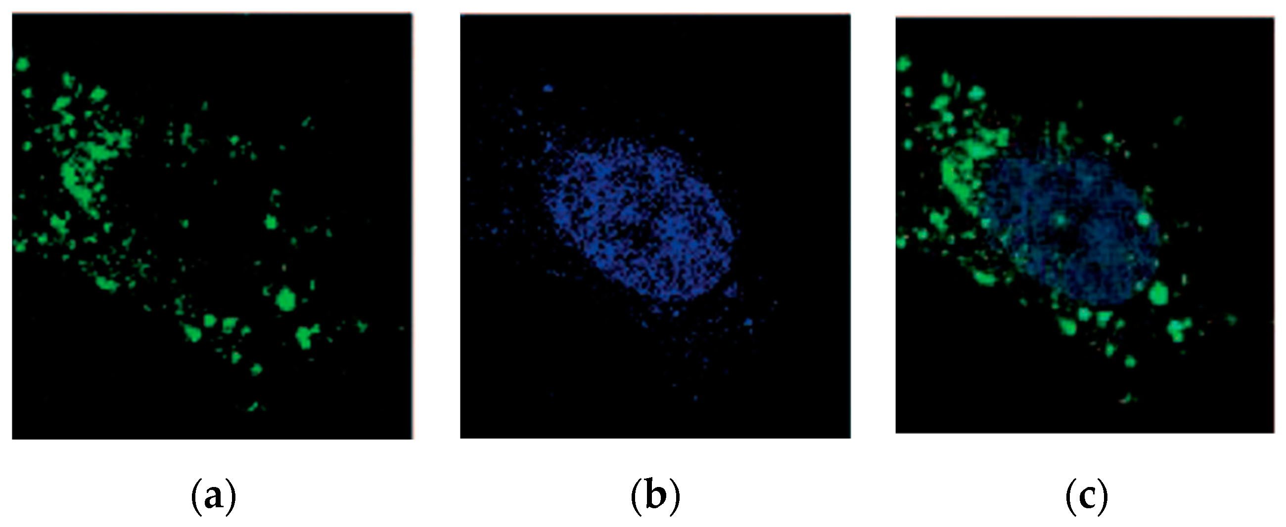Pharmaceutics 11 00351 g005 Pharmaceutics 11 00351 g005