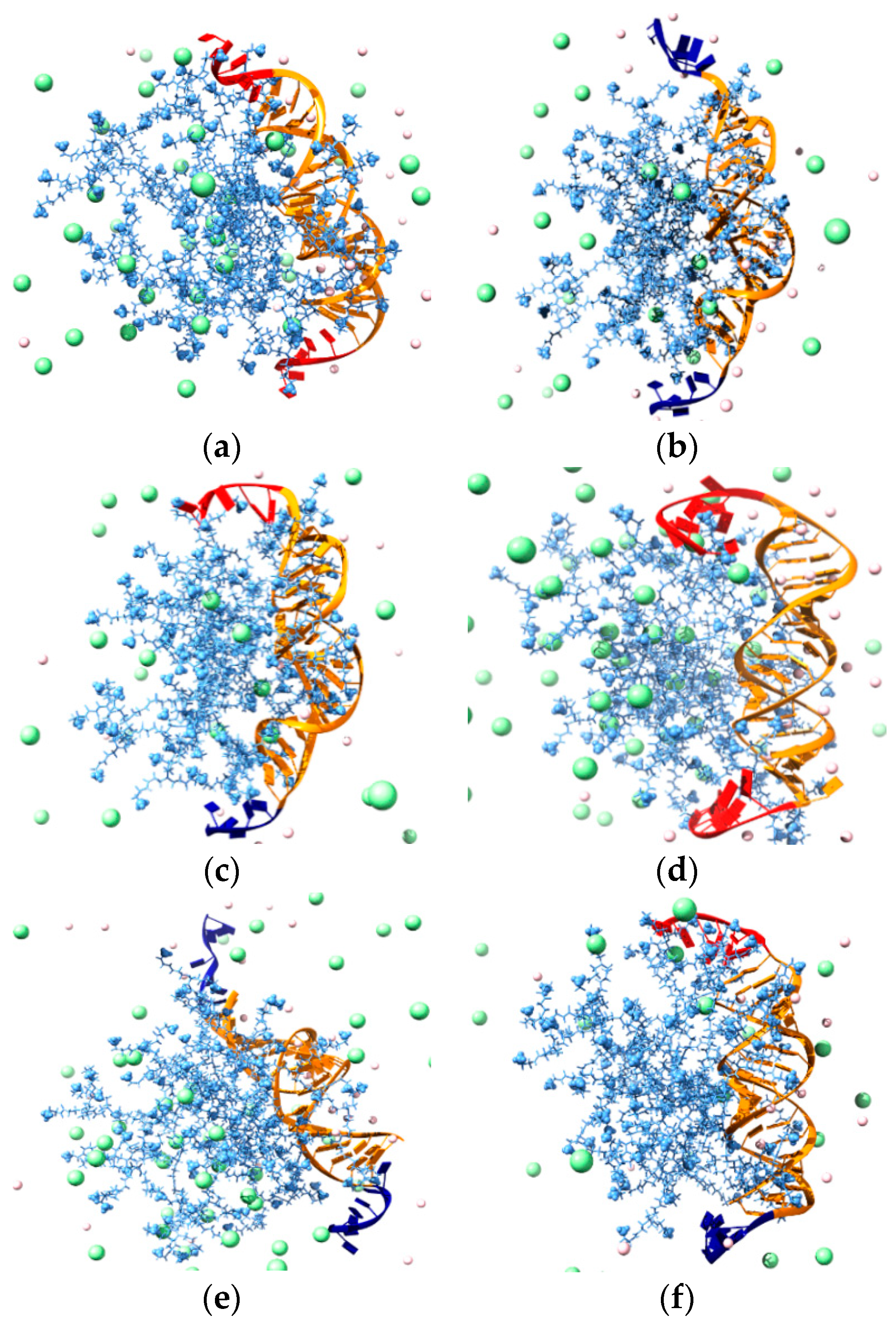 Pharmaceutics 11 00351 g012 Pharmaceutics 11 00351 g012