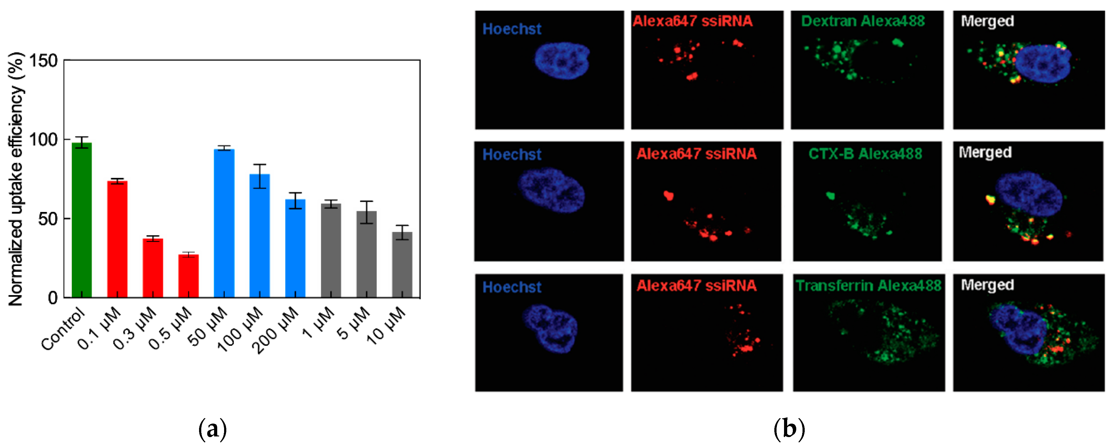Pharmaceutics 11 00351 g015 Pharmaceutics 11 00351 g015