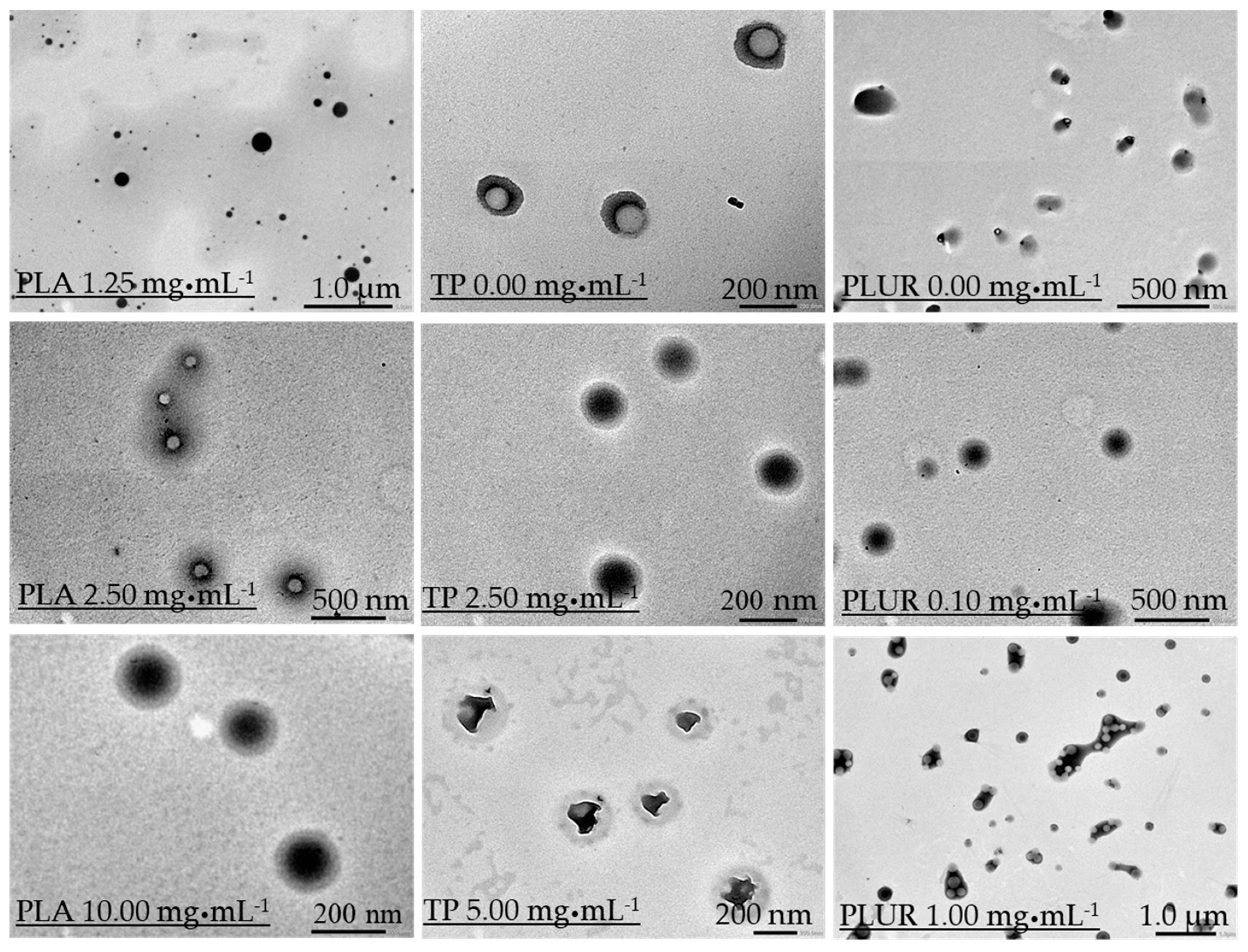 Pharmaceutics 11 00357 g002 Pharmaceutics 11 00357 g002
