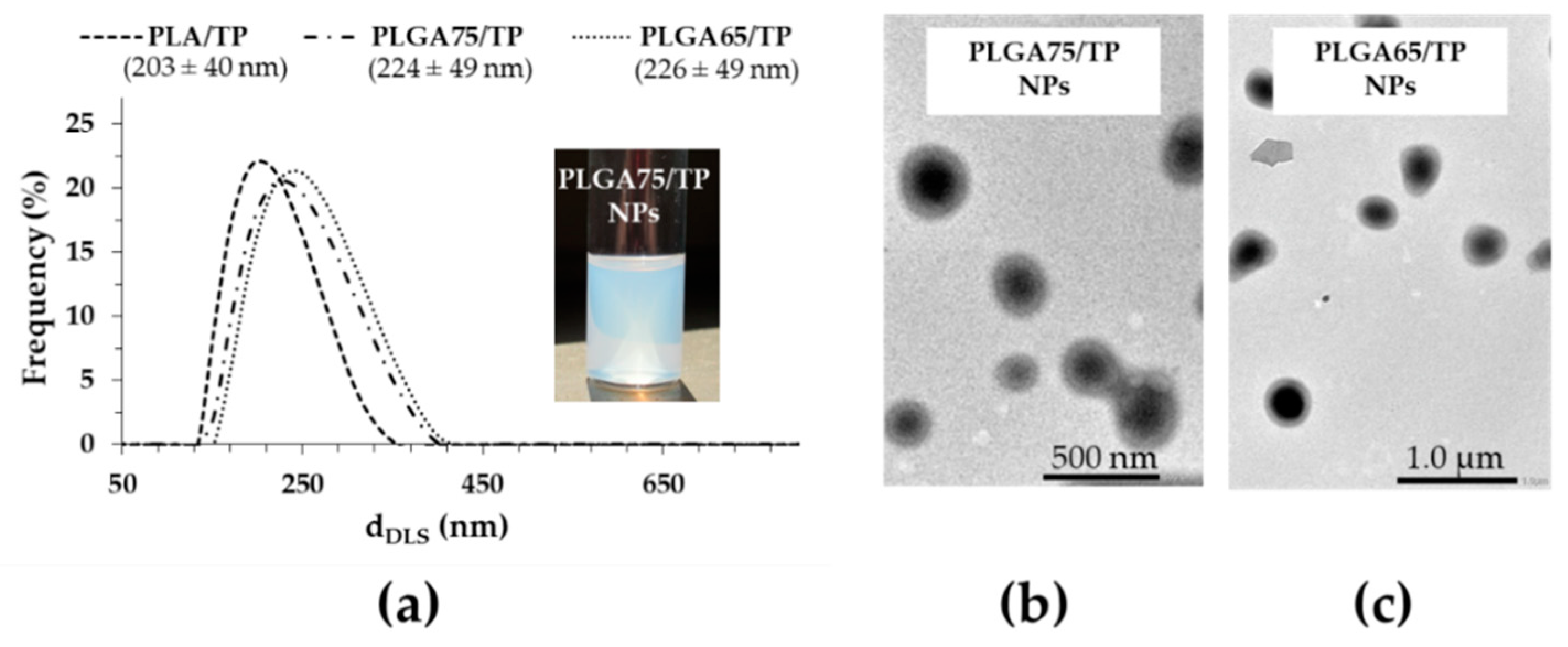 Pharmaceutics 11 00357 g003 Pharmaceutics 11 00357 g003