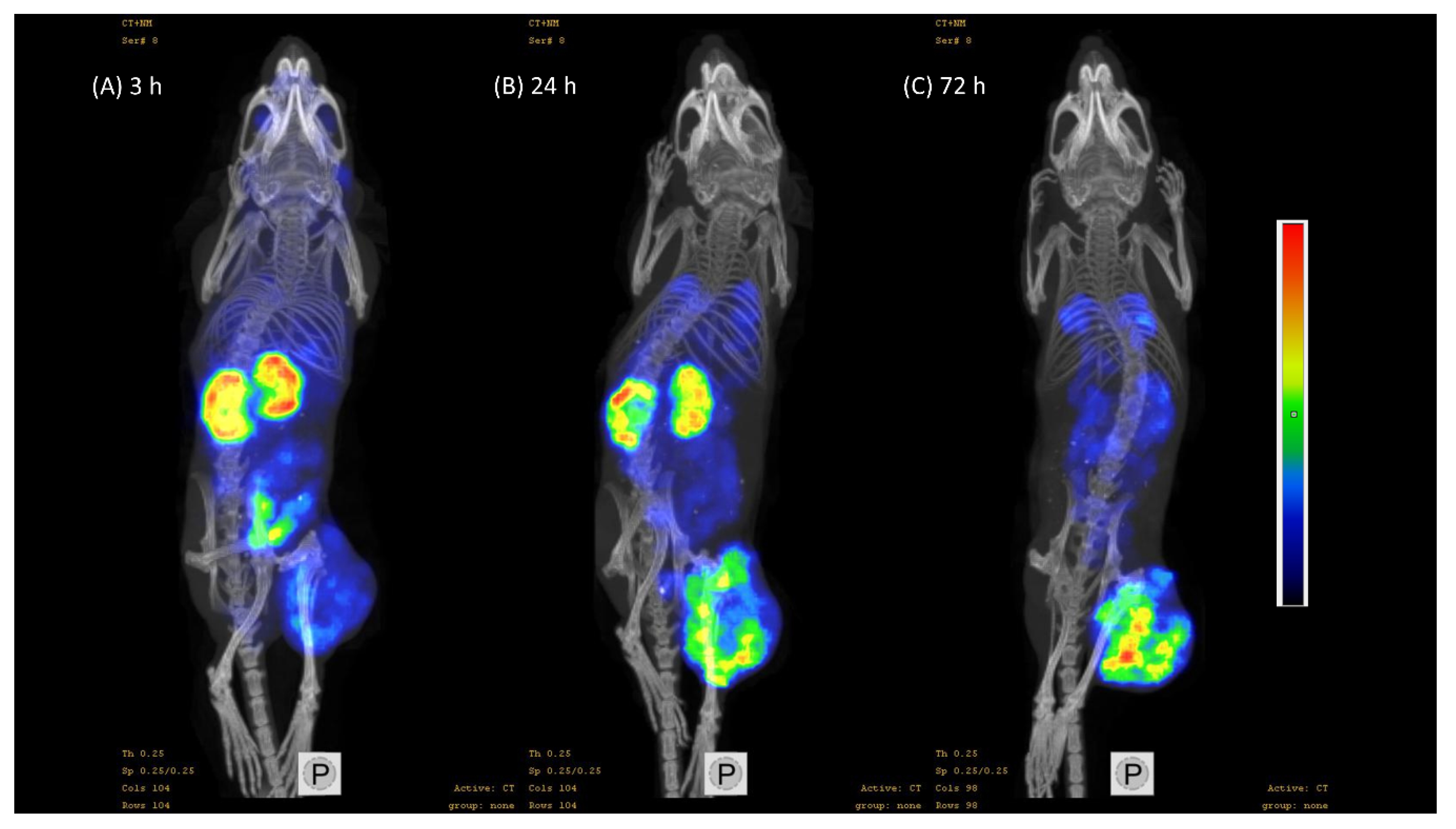 Pharmaceutics 11 00358 g008 Pharmaceutics 11 00358 g008