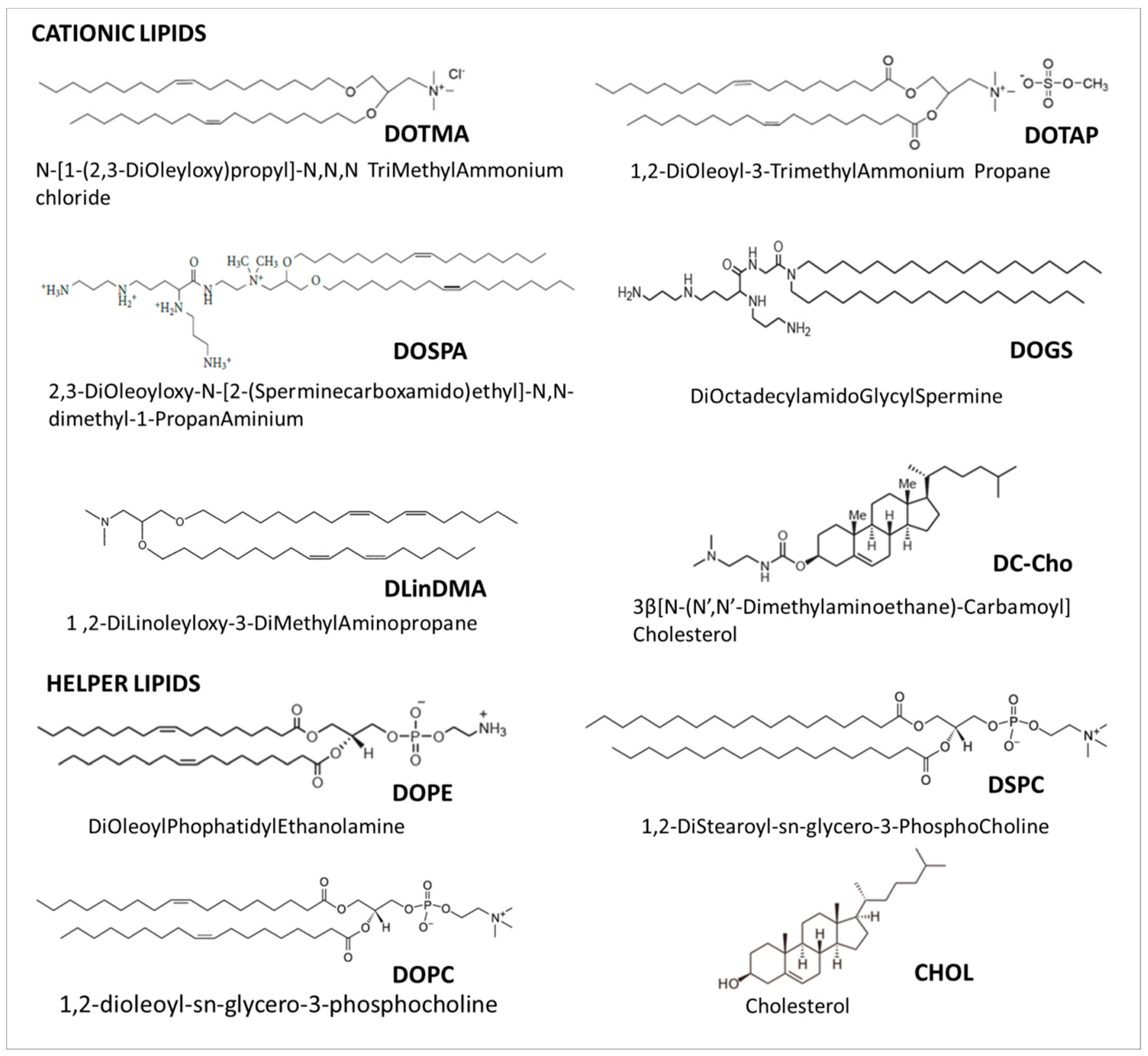 Pharmaceutics 11 00360 g003 Pharmaceutics 11 00360 g003