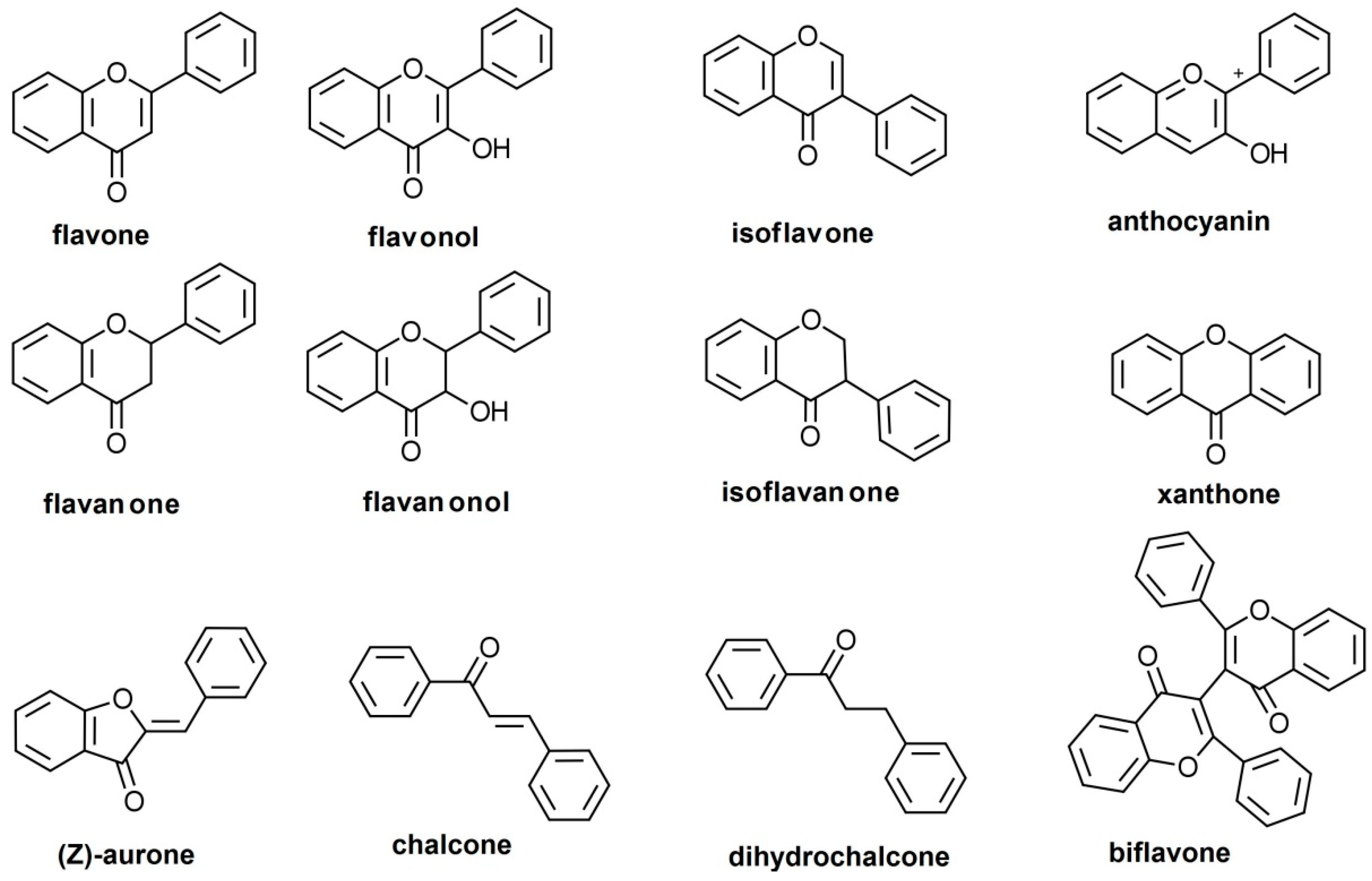 Pharmaceutics 11 00370 g001 Pharmaceutics 11 00370 g001
