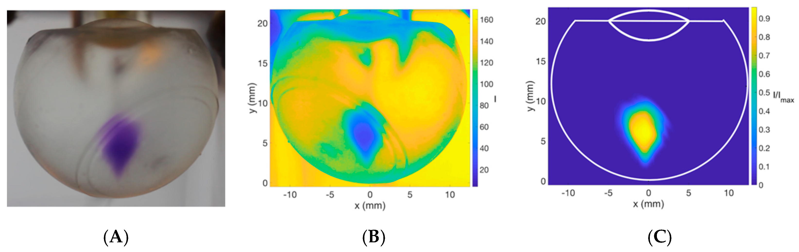 Pharmaceutics 11 00371 g003 Pharmaceutics 11 00371 g003