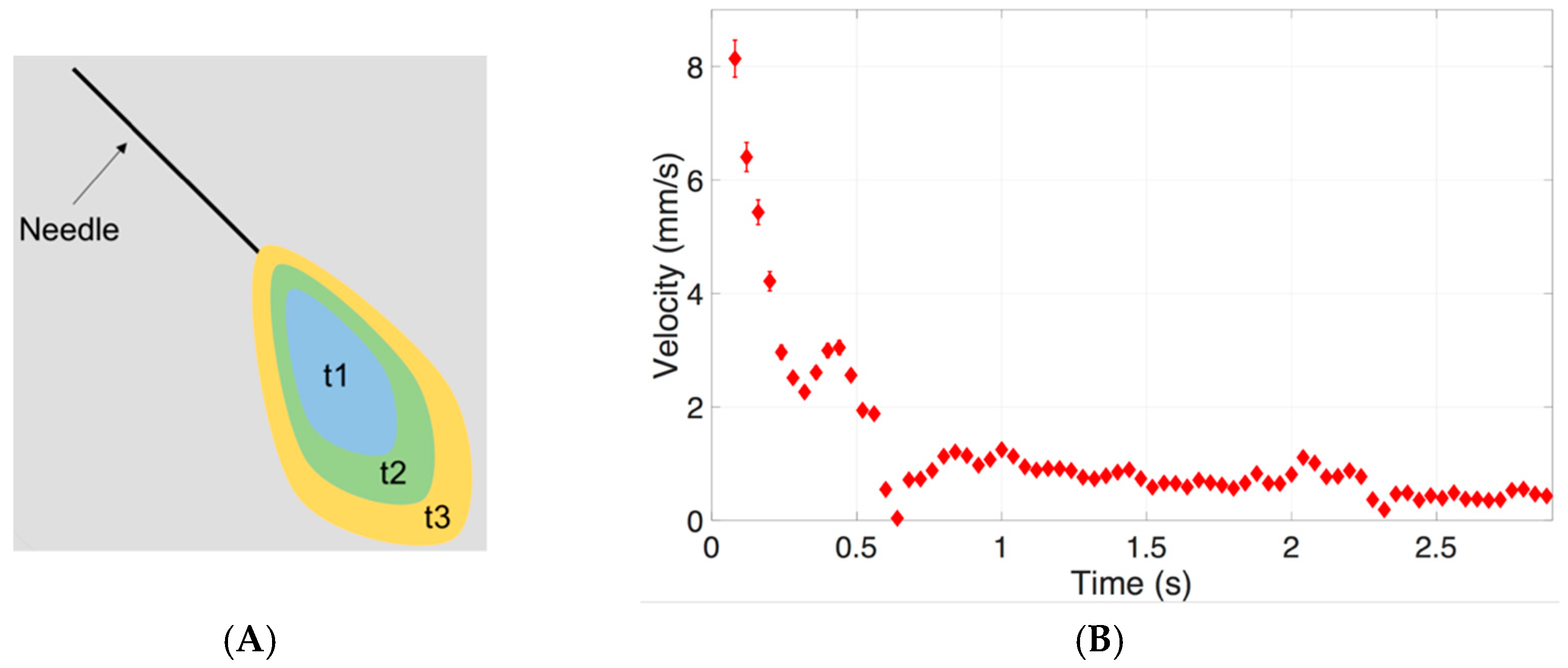 Pharmaceutics 11 00371 g011 Pharmaceutics 11 00371 g011