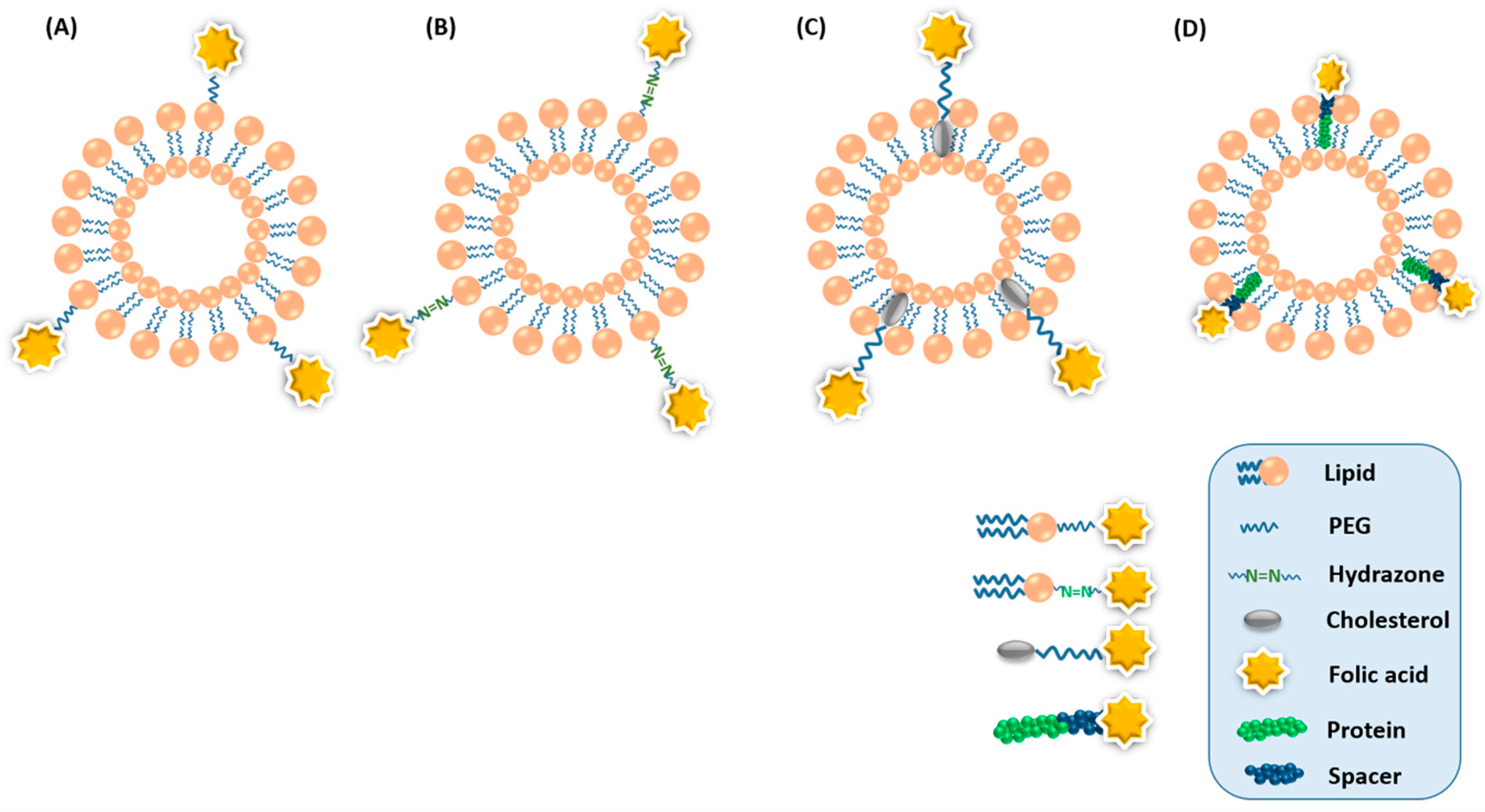 Pharmaceutics 11 00381 g002