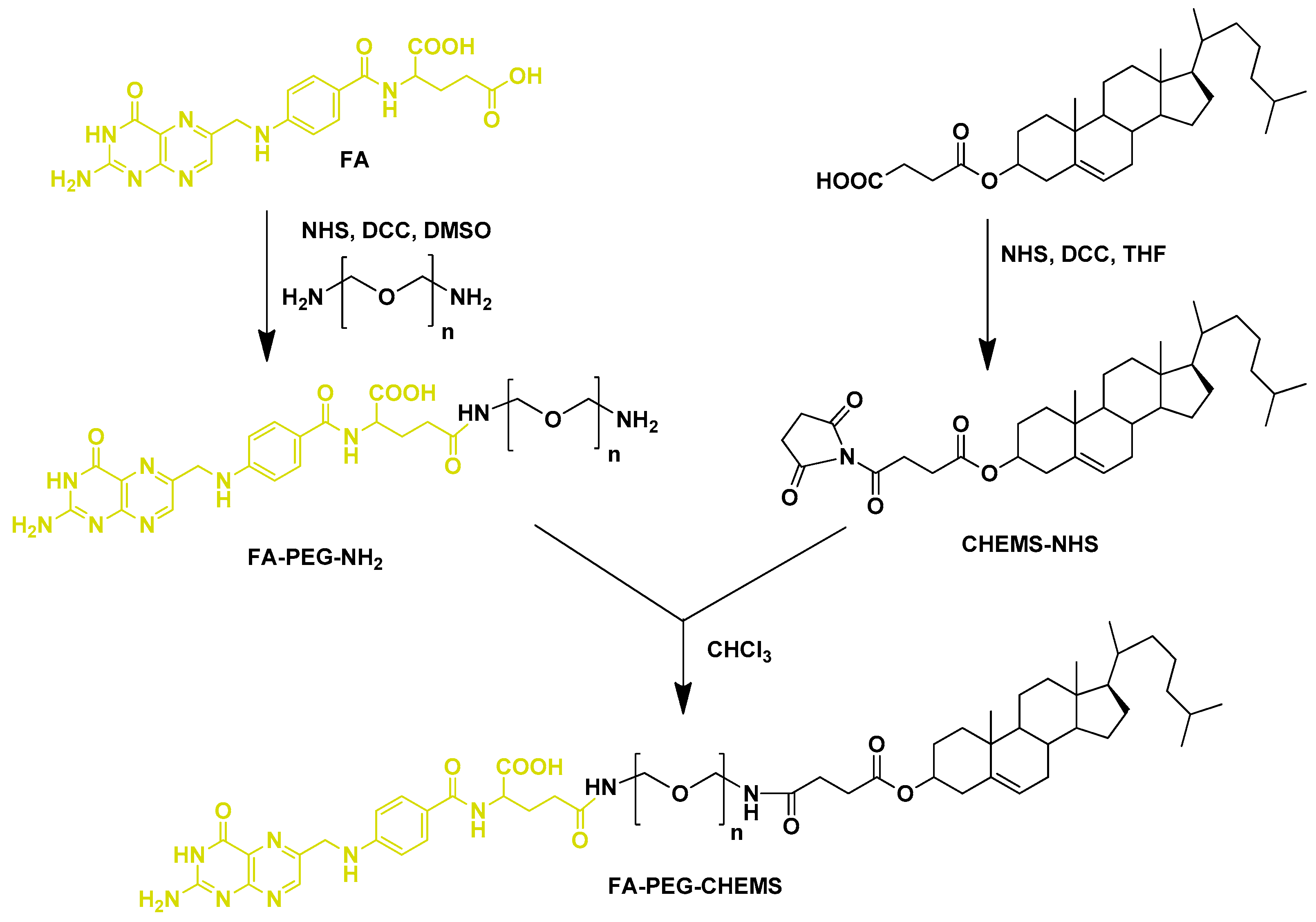 Pharmaceutics 11 00381 g005