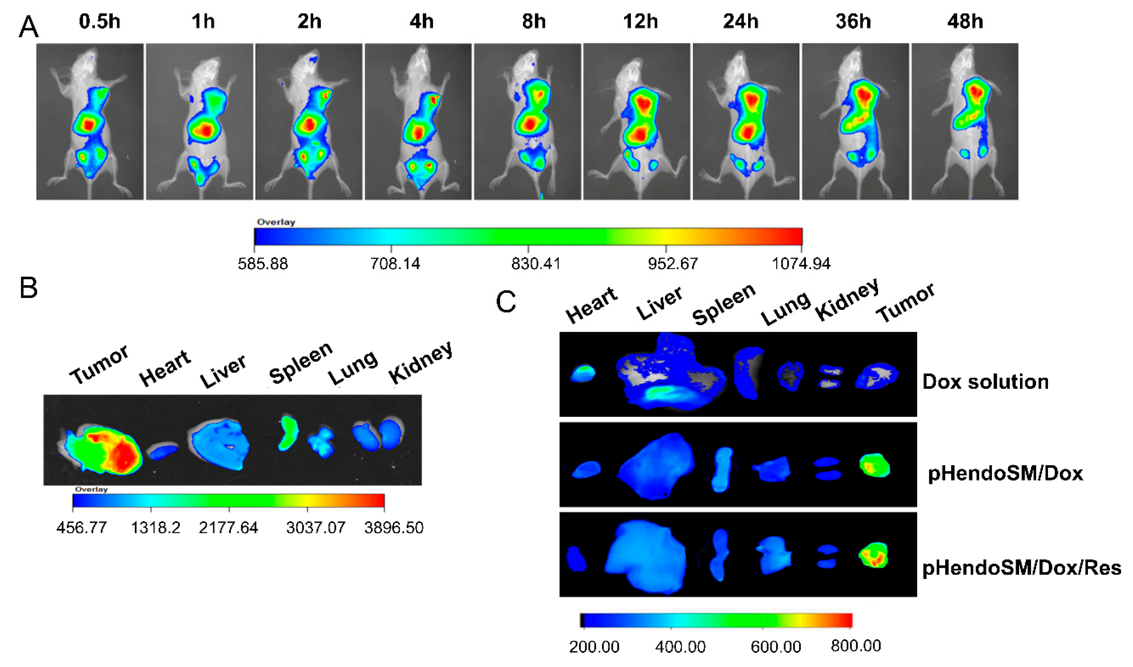 Pharmaceutics 11 00385 g008 Pharmaceutics 11 00385 g008