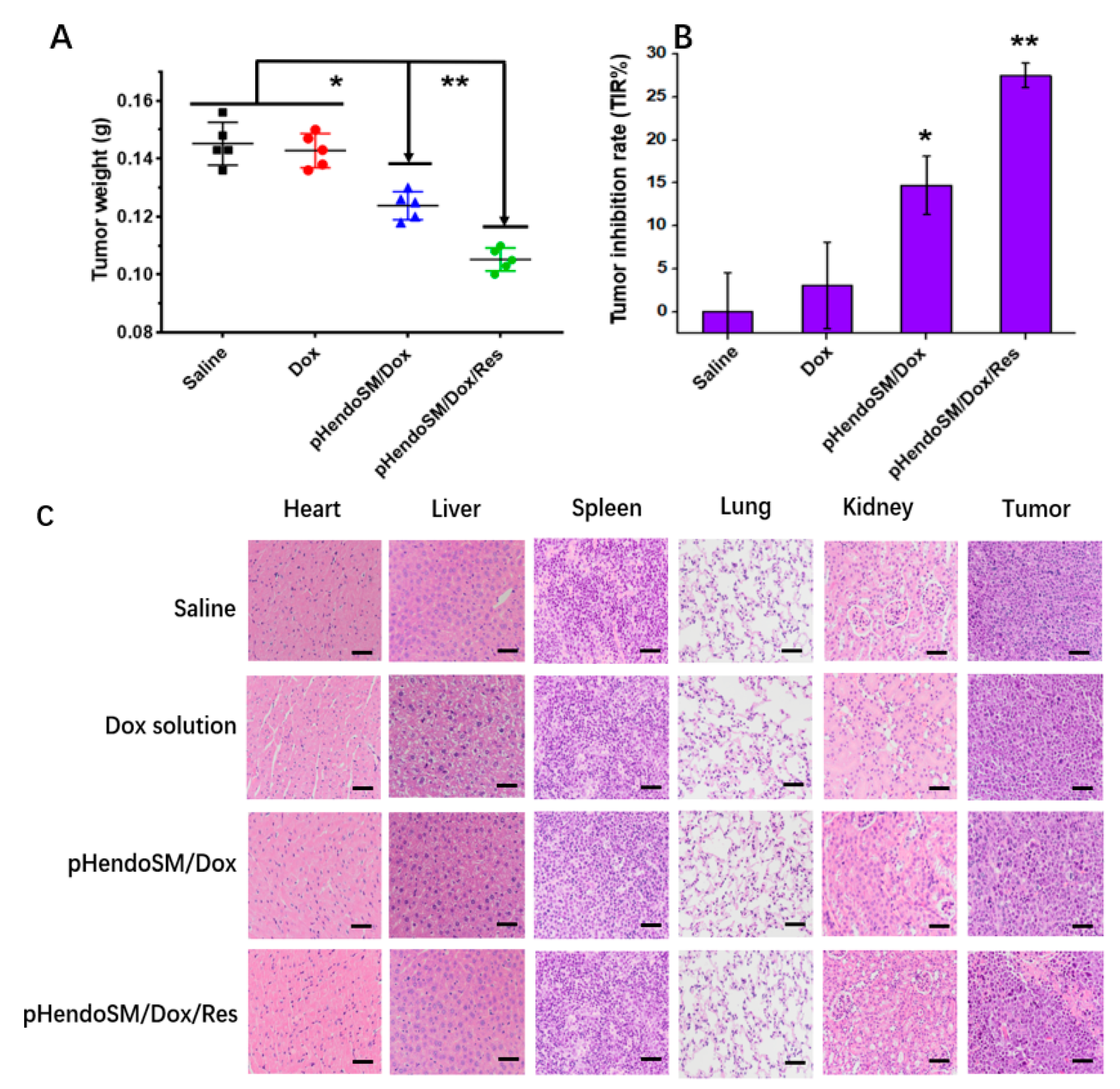 Pharmaceutics 11 00385 g009 Pharmaceutics 11 00385 g009