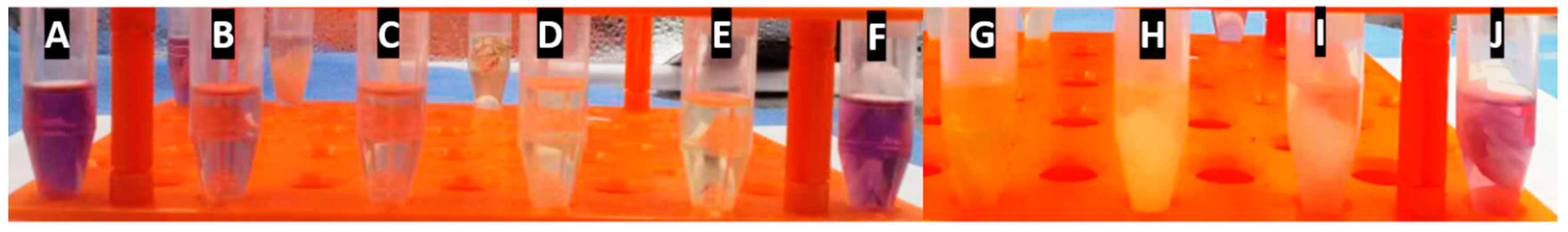 Pharmaceutics 11 00386 g006 Pharmaceutics 11 00386 g006