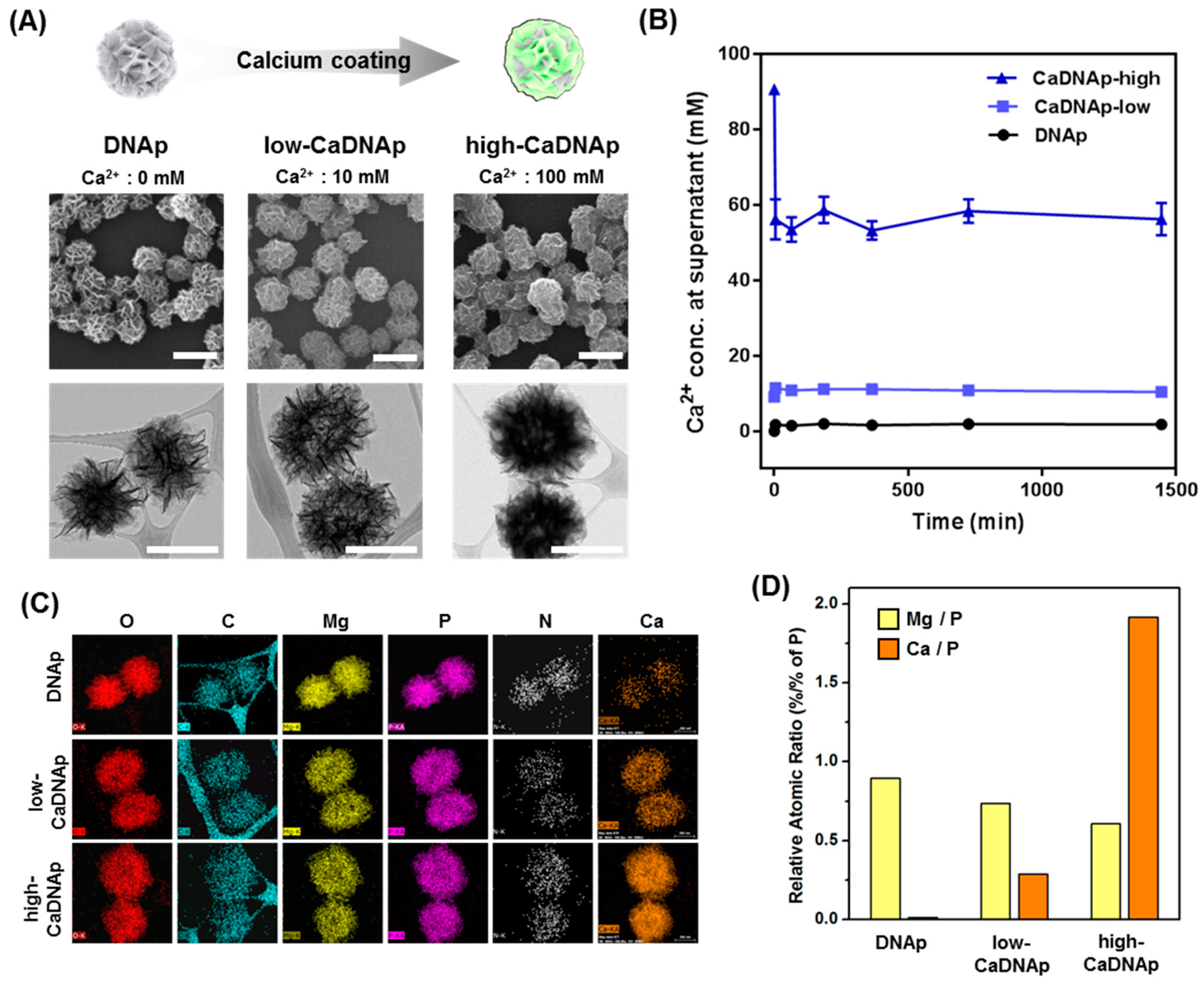 Pharmaceutics 11 00387 g004