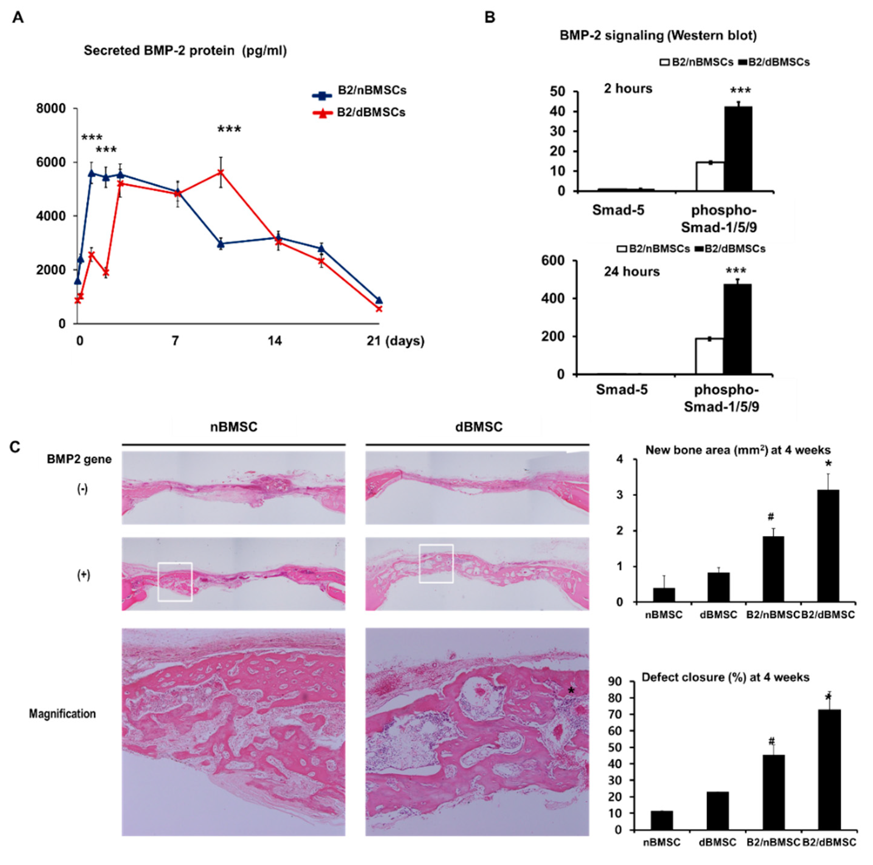 Pharmaceutics 11 00393 g003 Pharmaceutics 11 00393 g003