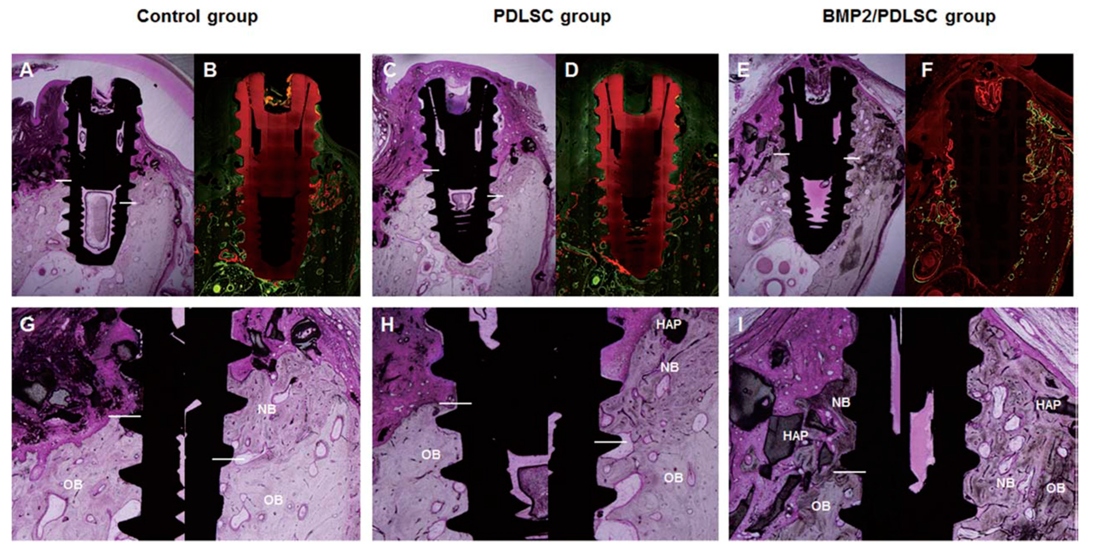Pharmaceutics 11 00393 g004 Pharmaceutics 11 00393 g004