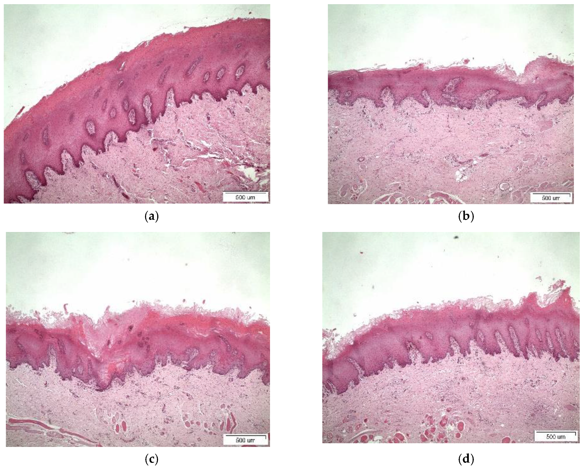 Pharmaceutics 11 00398 g008 Pharmaceutics 11 00398 g008
