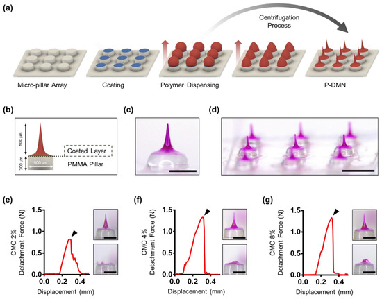 Micro-Pillar Integrated Dissolving Microneedles for Enhanced ...