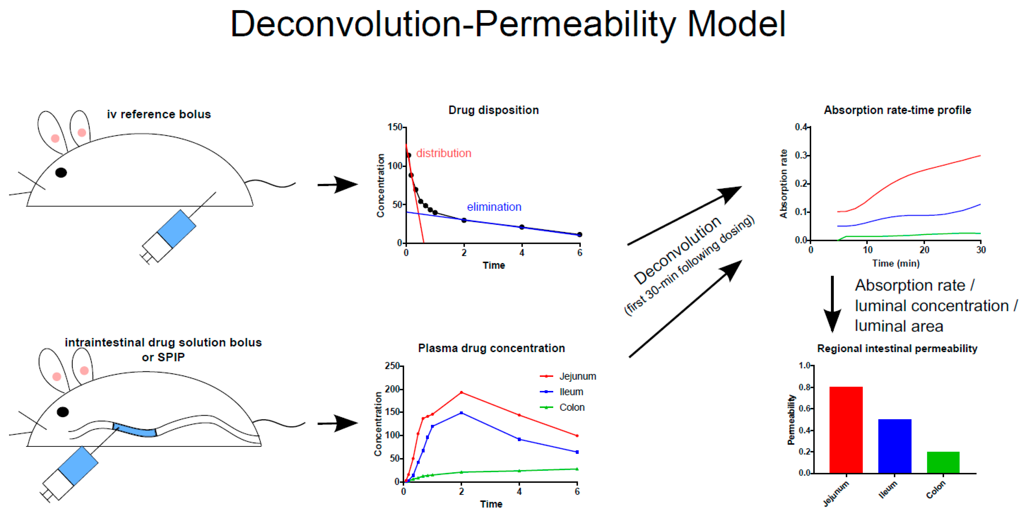 Pharmaceutics 11 00411 g002 Pharmaceutics 11 00411 g002