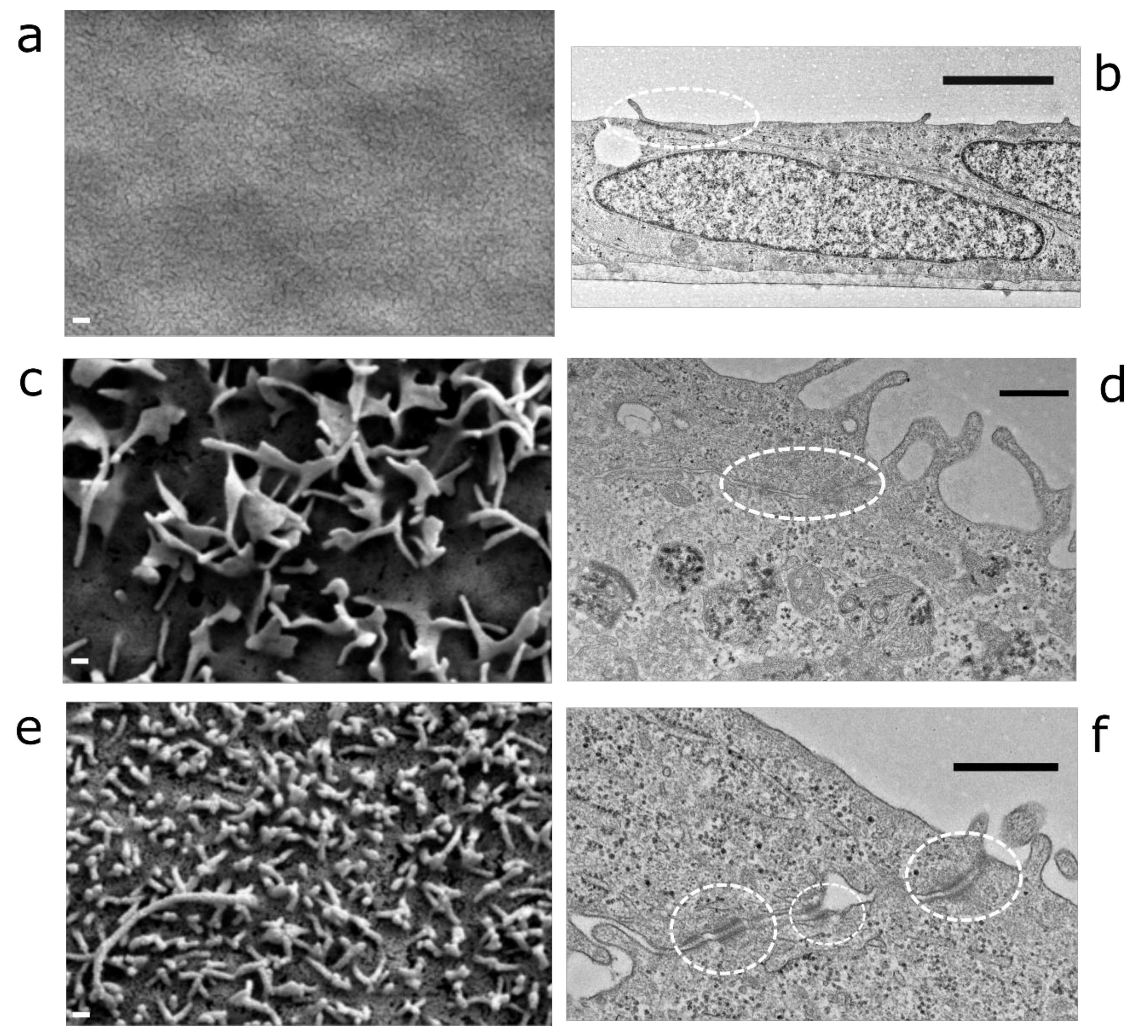 Pharmaceutics 11 00412 g002 Pharmaceutics 11 00412 g002