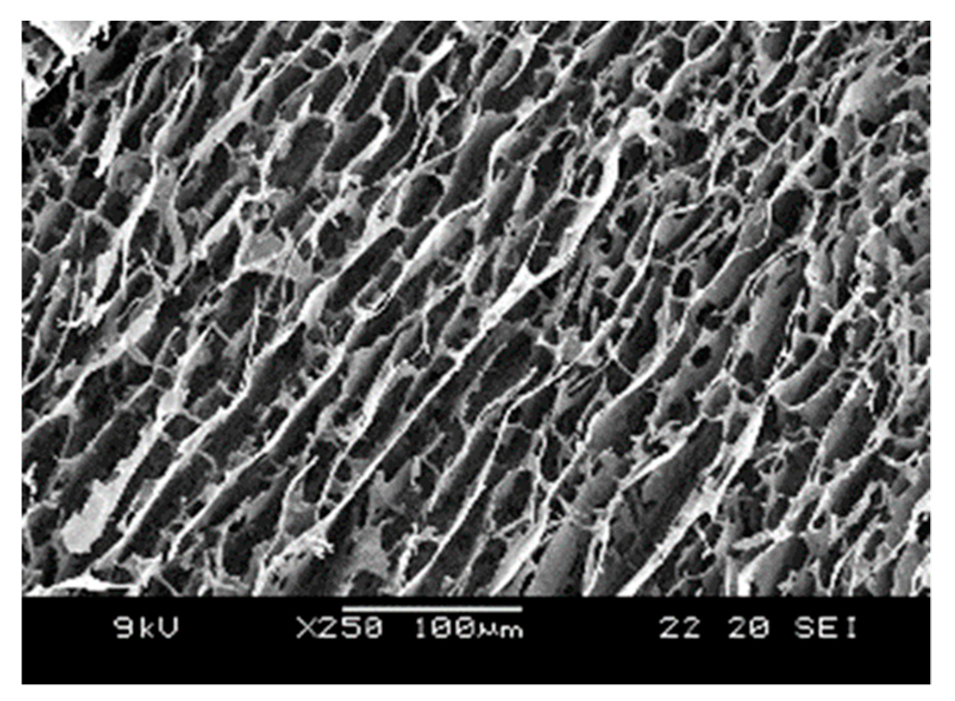 Pharmaceutics 11 00413 g003 Pharmaceutics 11 00413 g003