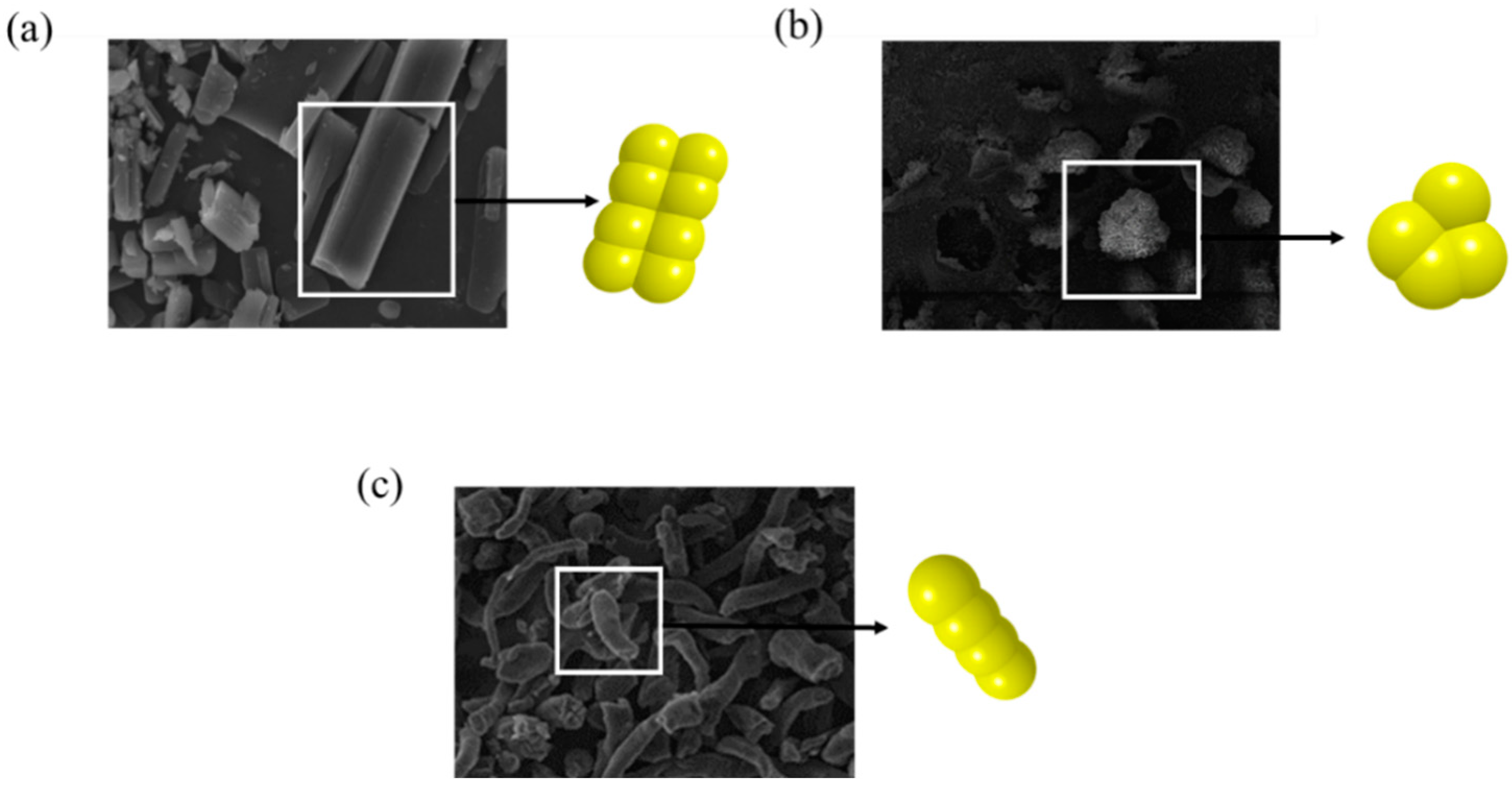 Pharmaceutics 11 00414 g005 Pharmaceutics 11 00414 g005