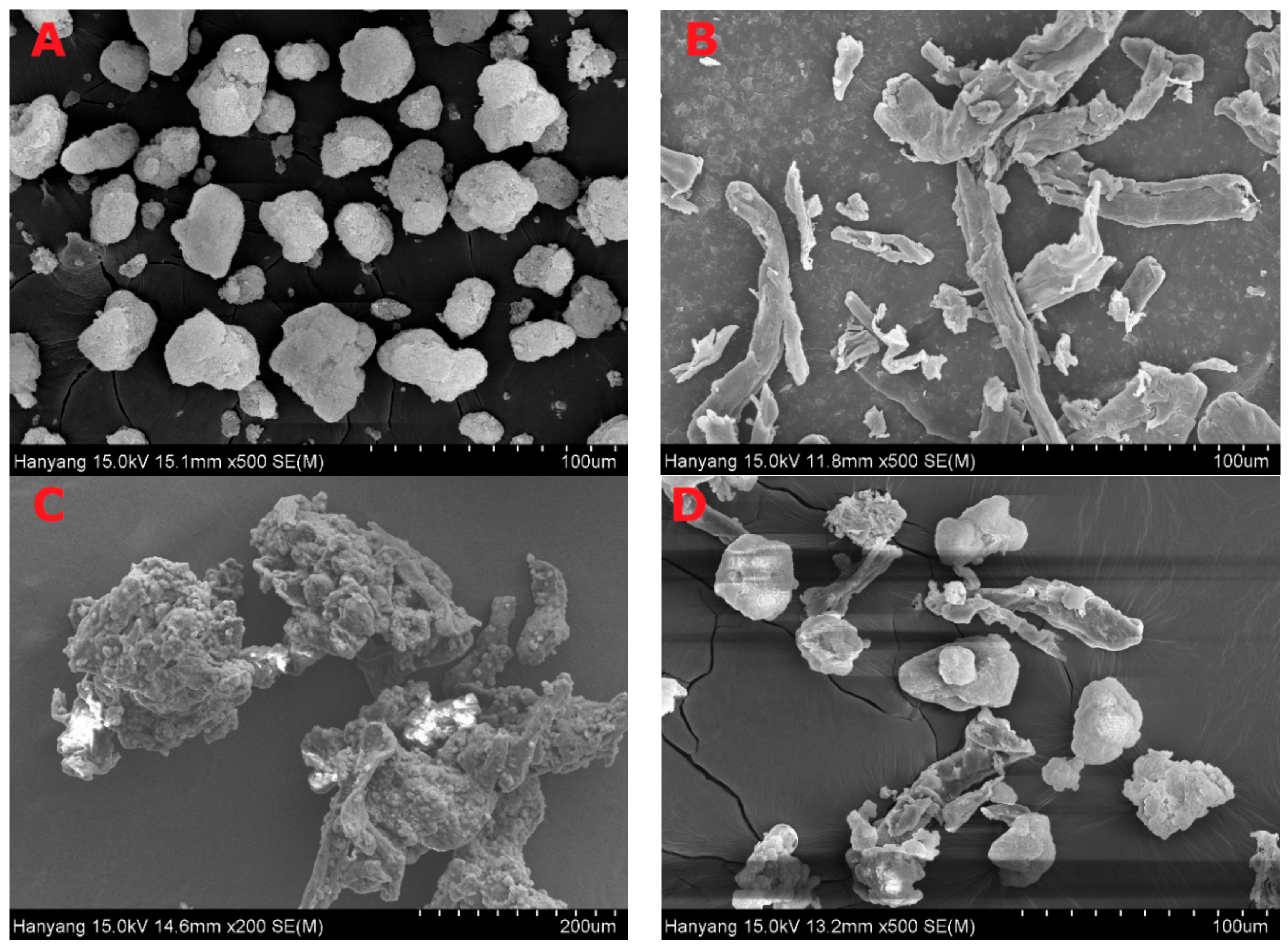 Pharmaceutics 11 00415 g006 Pharmaceutics 11 00415 g006
