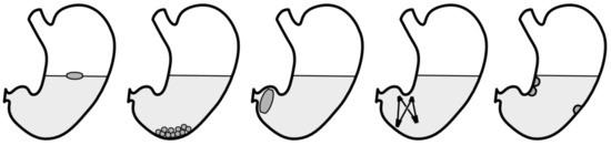 In Vitro and In Vivo Test Methods for the Evaluation of Gastroretentive ...
