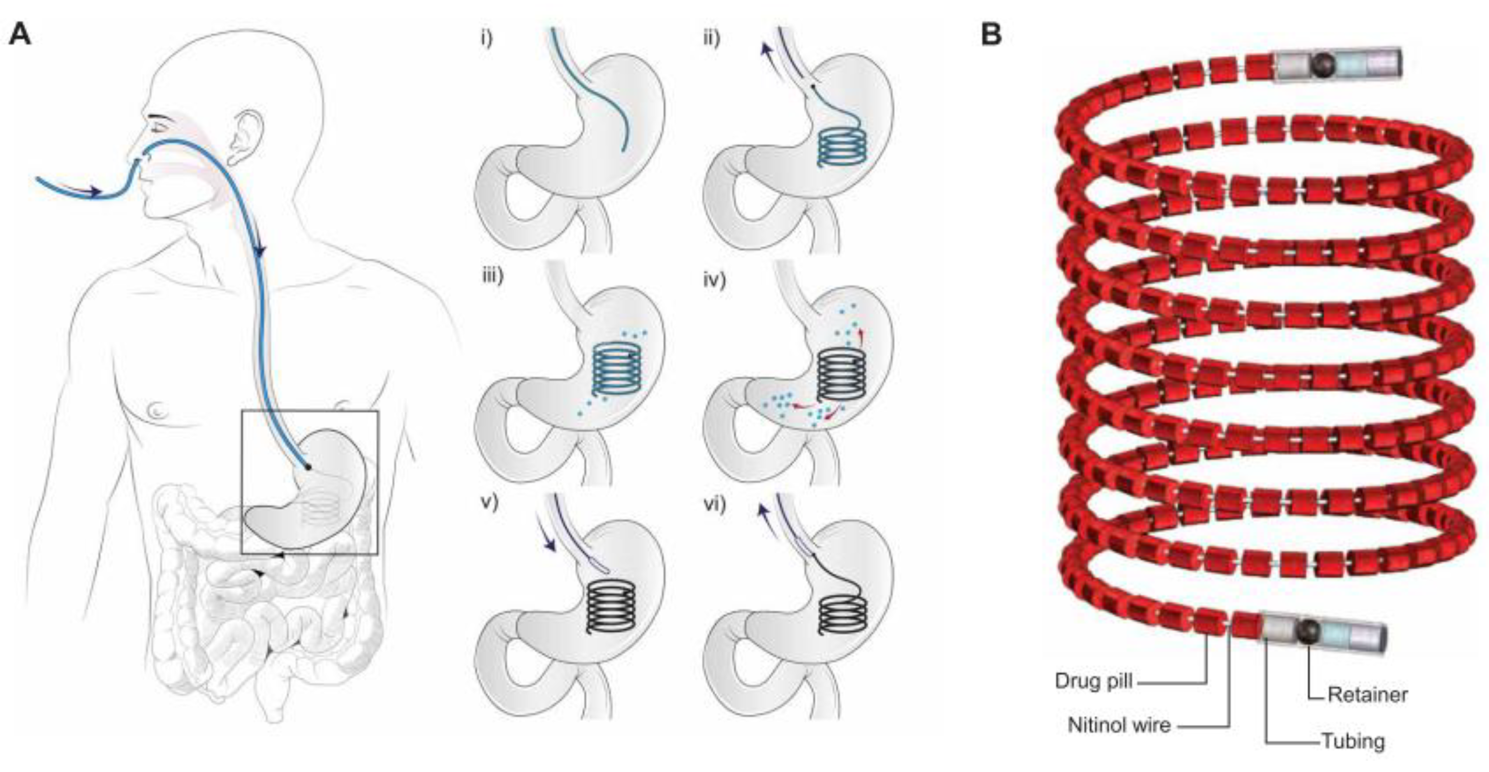 Pharmaceutics 11 00416 g005 Pharmaceutics 11 00416 g005