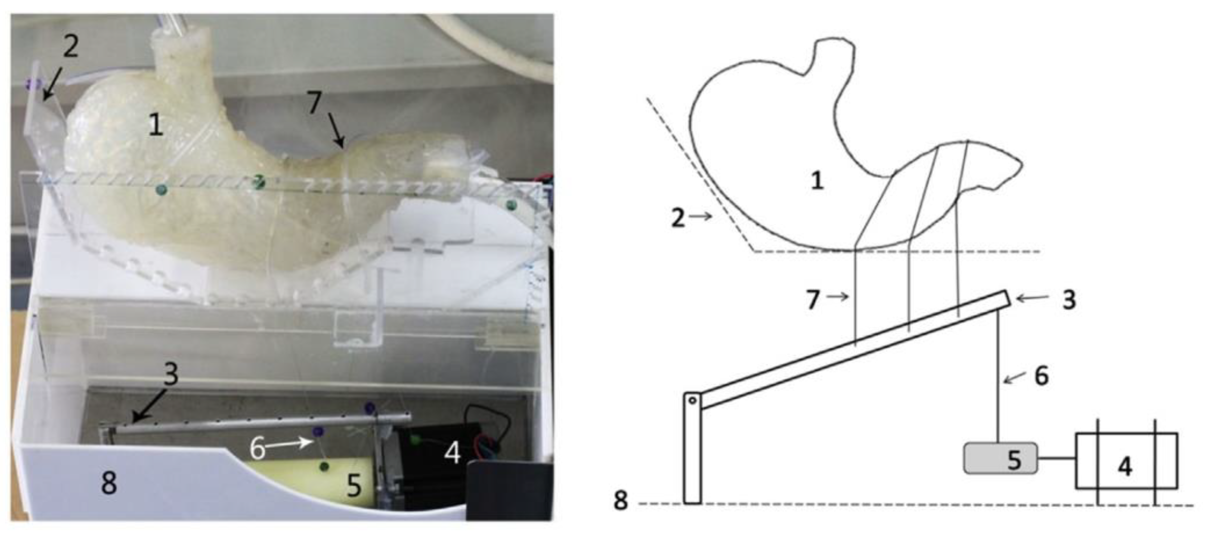Pharmaceutics 11 00416 g013 Pharmaceutics 11 00416 g013