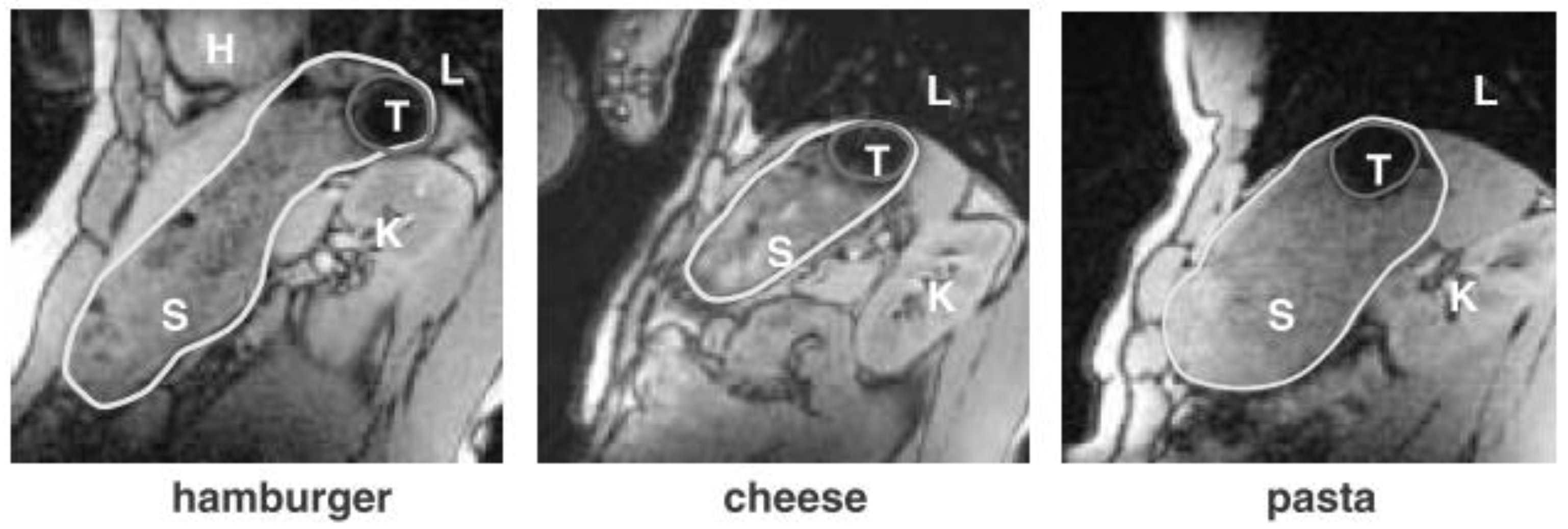 Pharmaceutics 11 00416 g017 Pharmaceutics 11 00416 g017