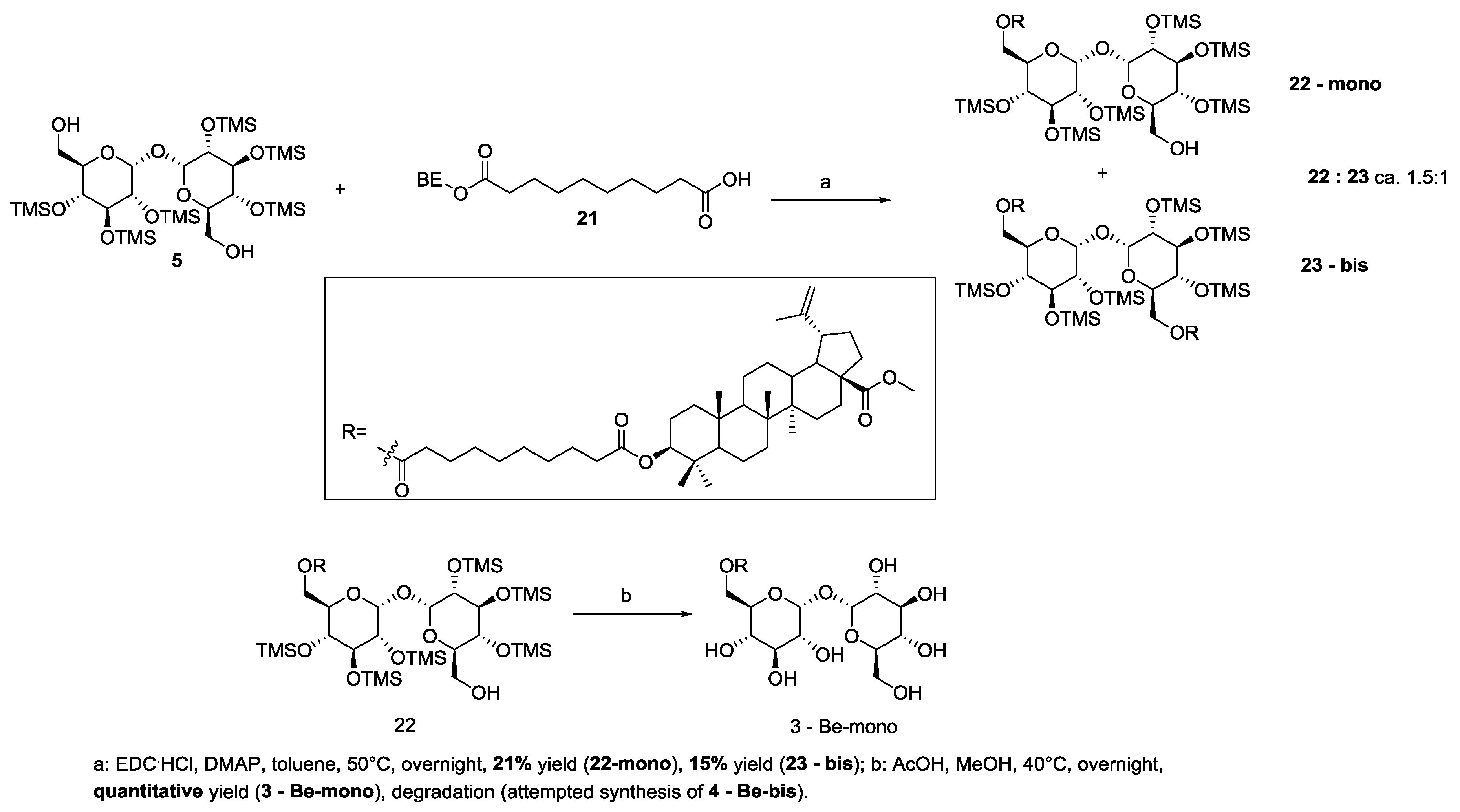 Pharmaceutics 11 00422 sch005 Pharmaceutics 11 00422 sch005