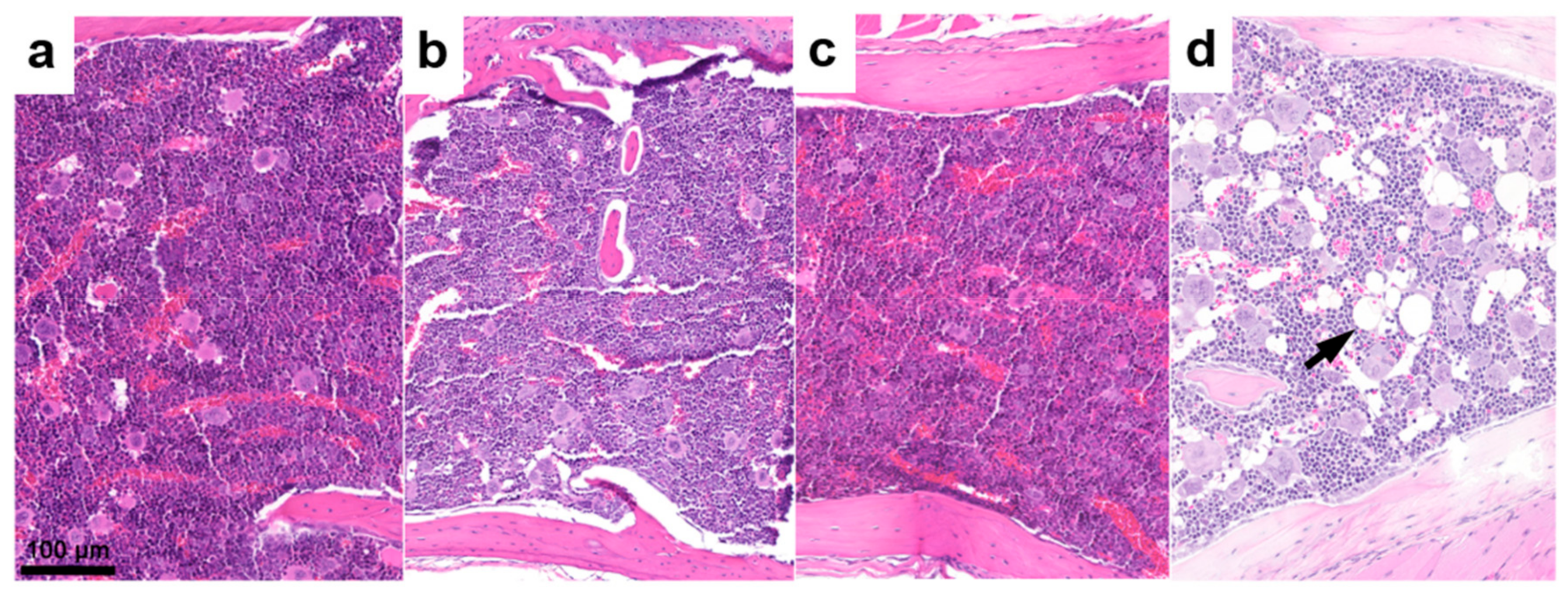 Pharmaceutics 11 00424 g004