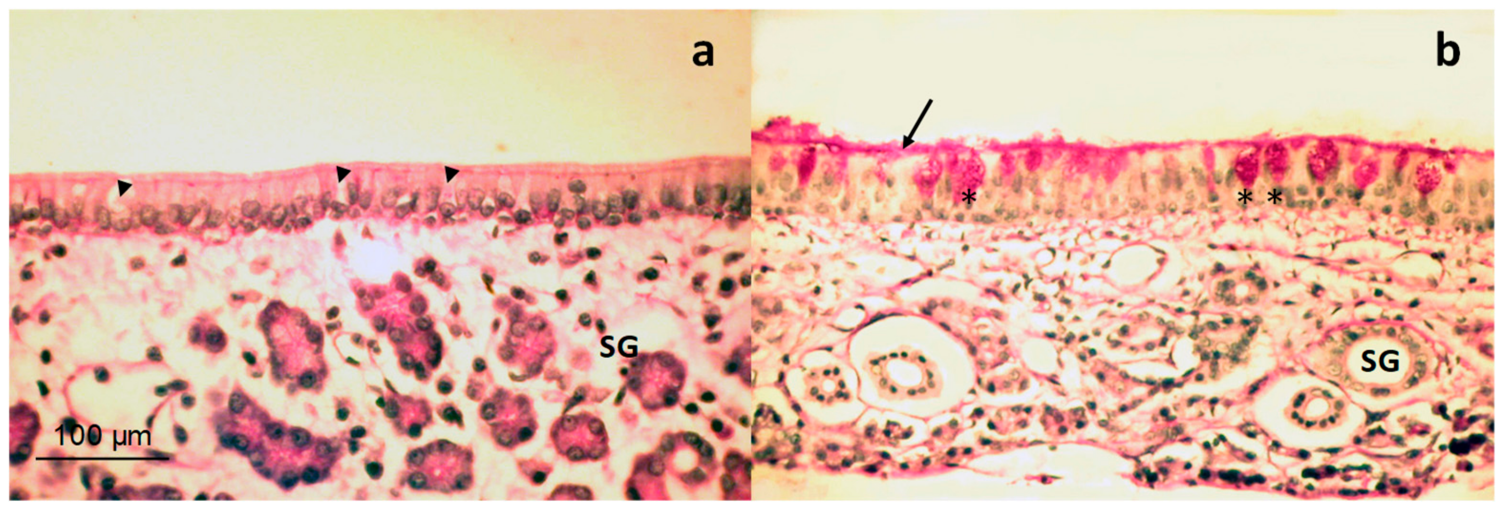 Pharmaceutics 11 00426 g006