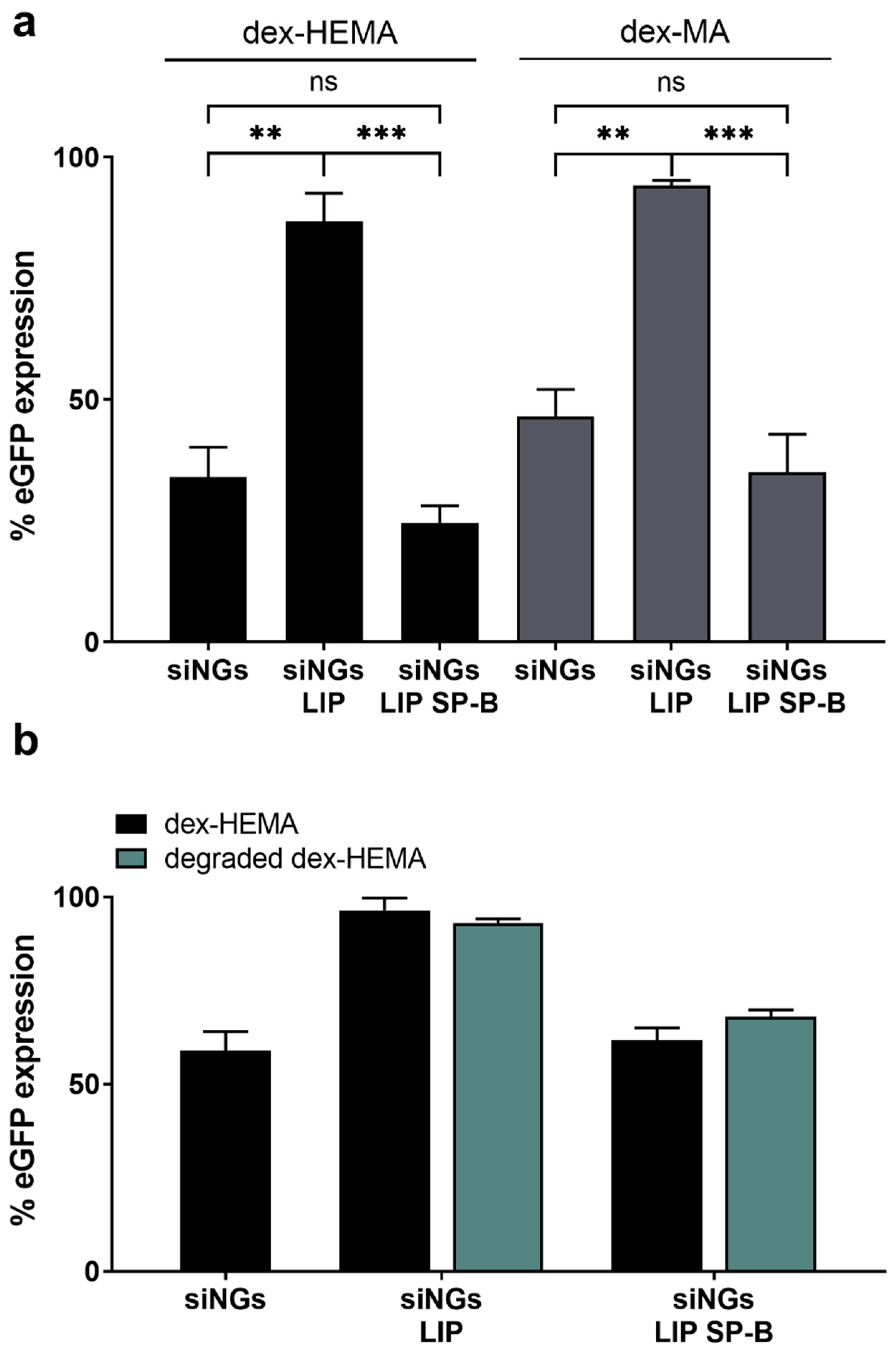 Pharmaceutics 11 00431 g006