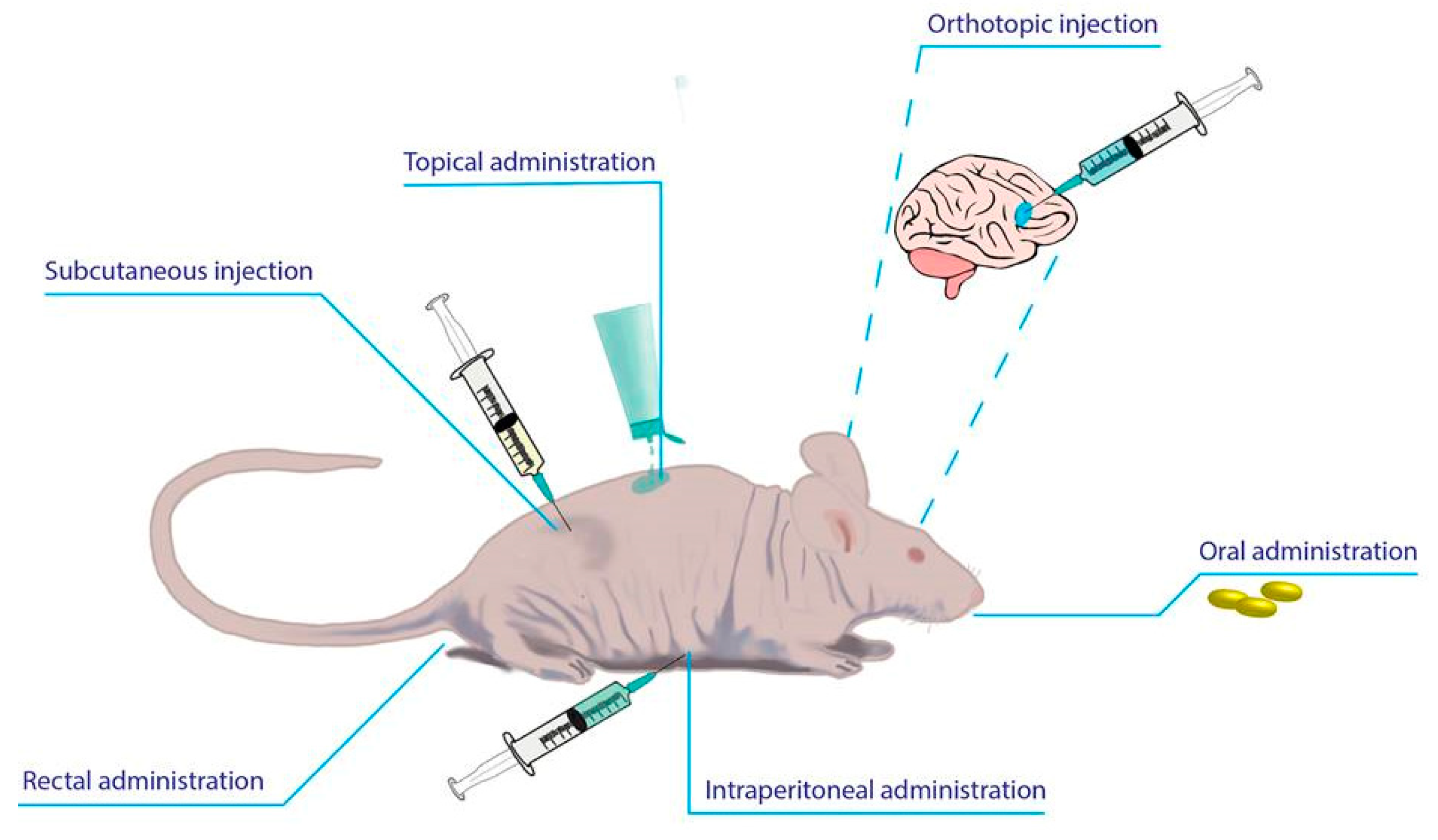 Pharmaceutics 11 00432 g003 Pharmaceutics 11 00432 g003