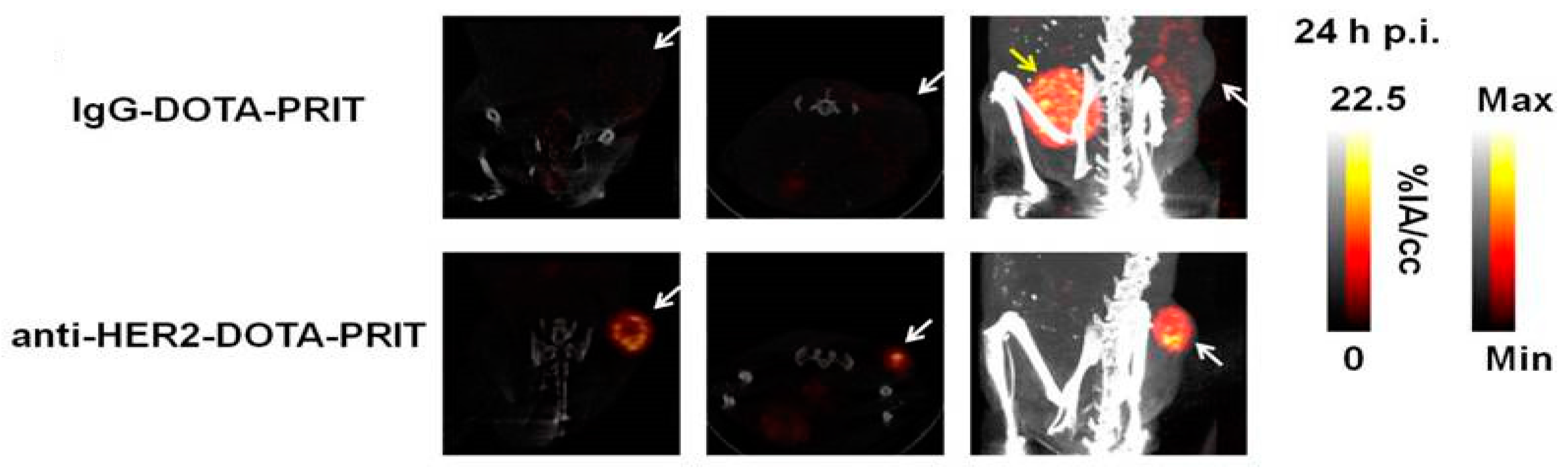 Pharmaceutics 11 00434 g003 Pharmaceutics 11 00434 g003