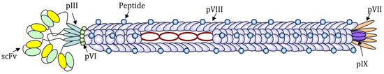 Pharmaceutics 11 00437 g001 550