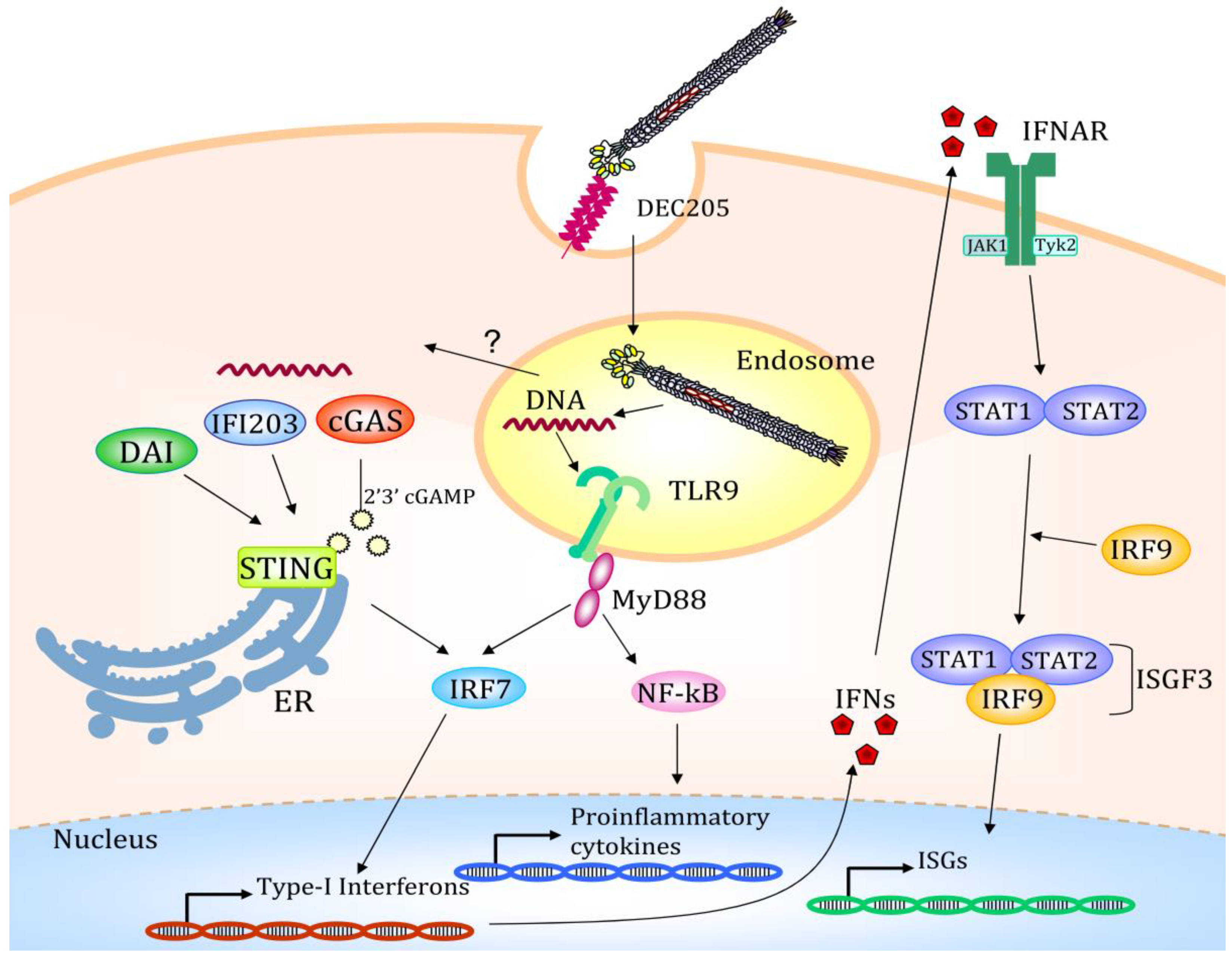 Pharmaceutics 11 00437 g003