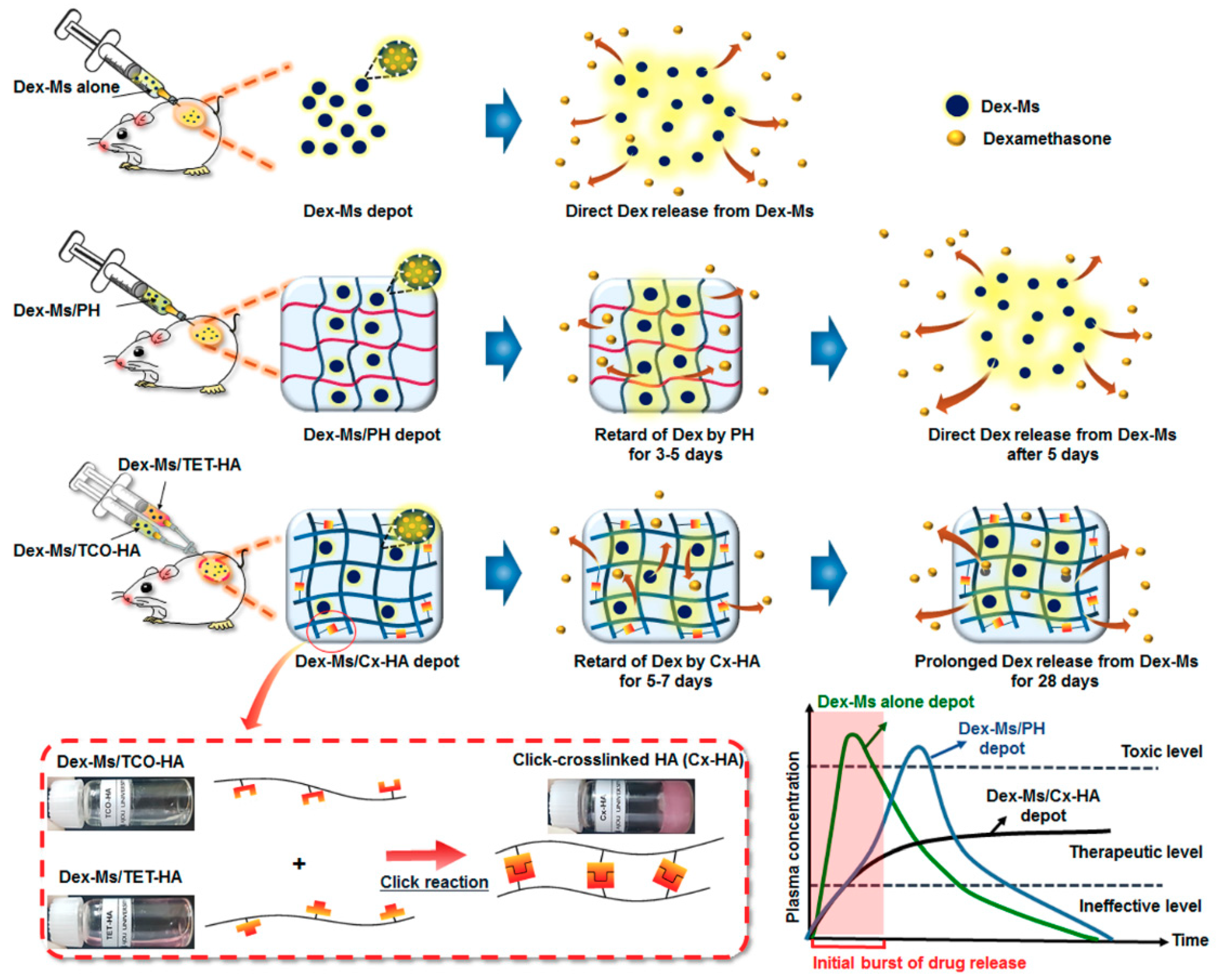 Pharmaceutics 11 00438 g001