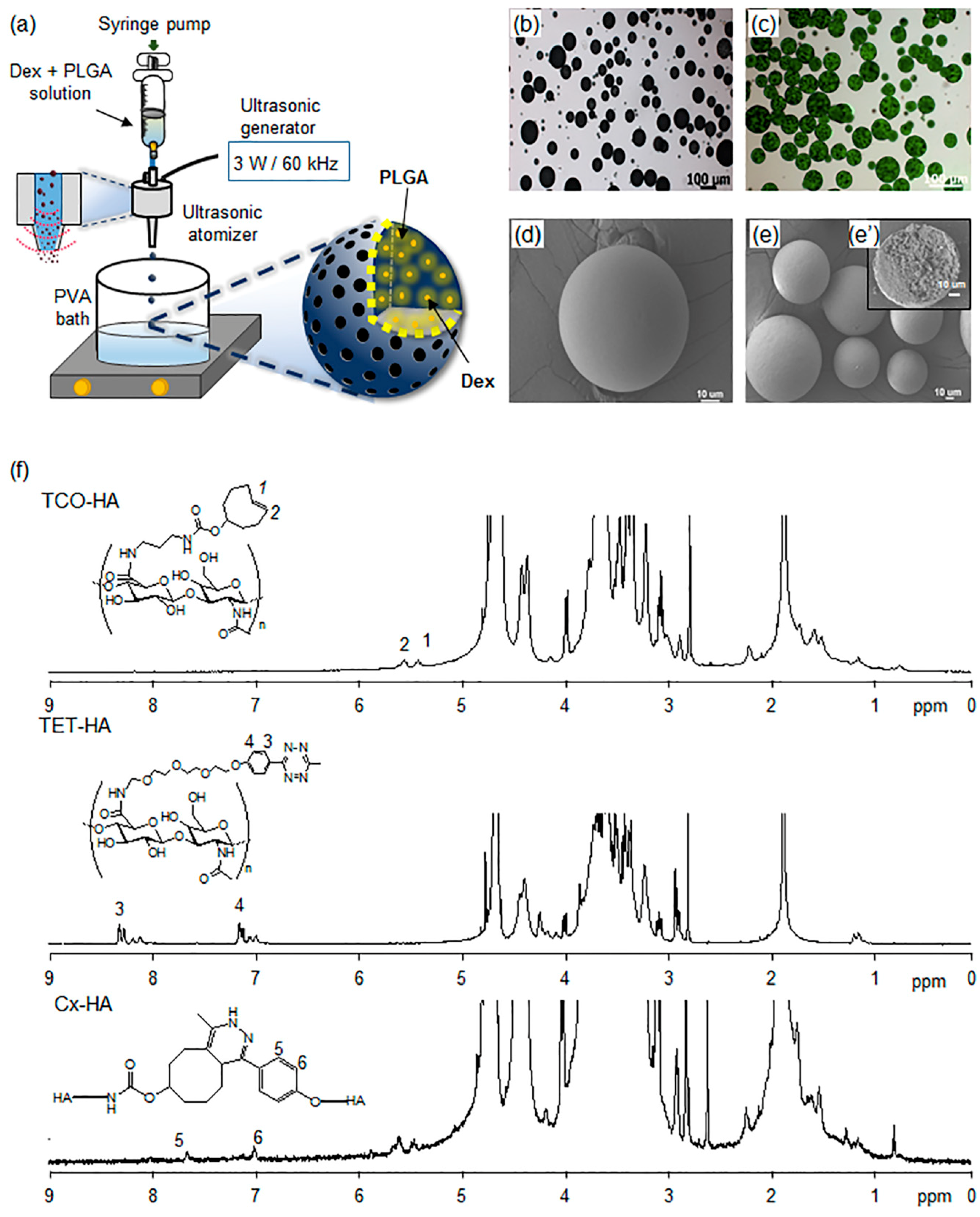 Pharmaceutics 11 00438 g002