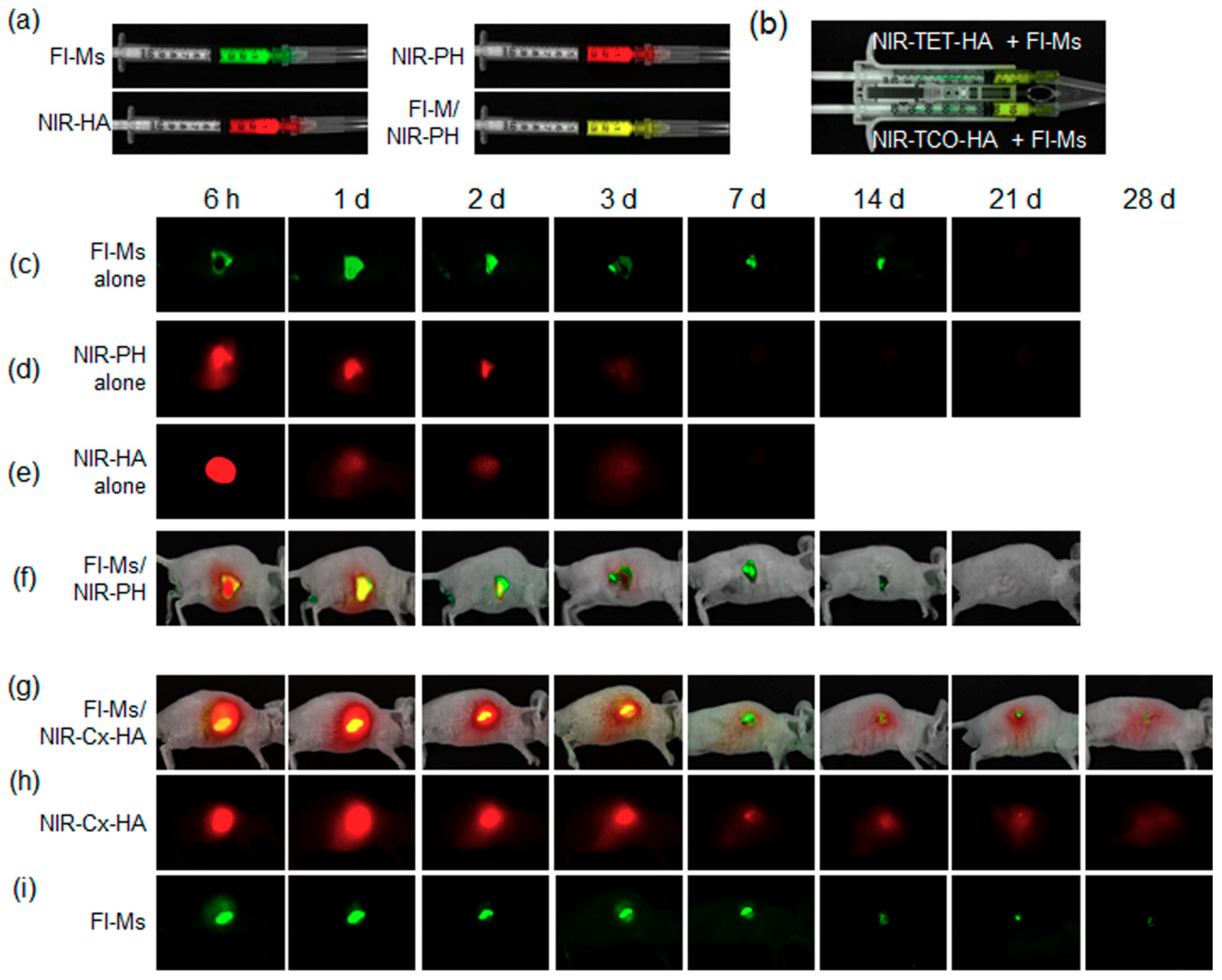 Pharmaceutics 11 00438 g007