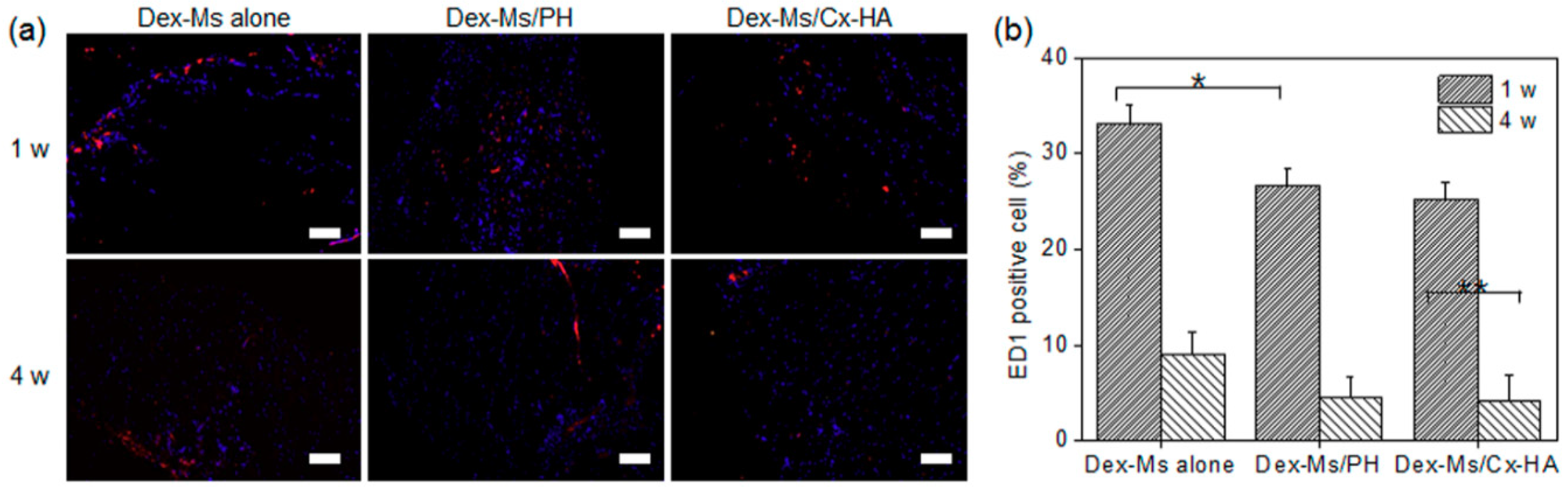 Pharmaceutics 11 00438 g009