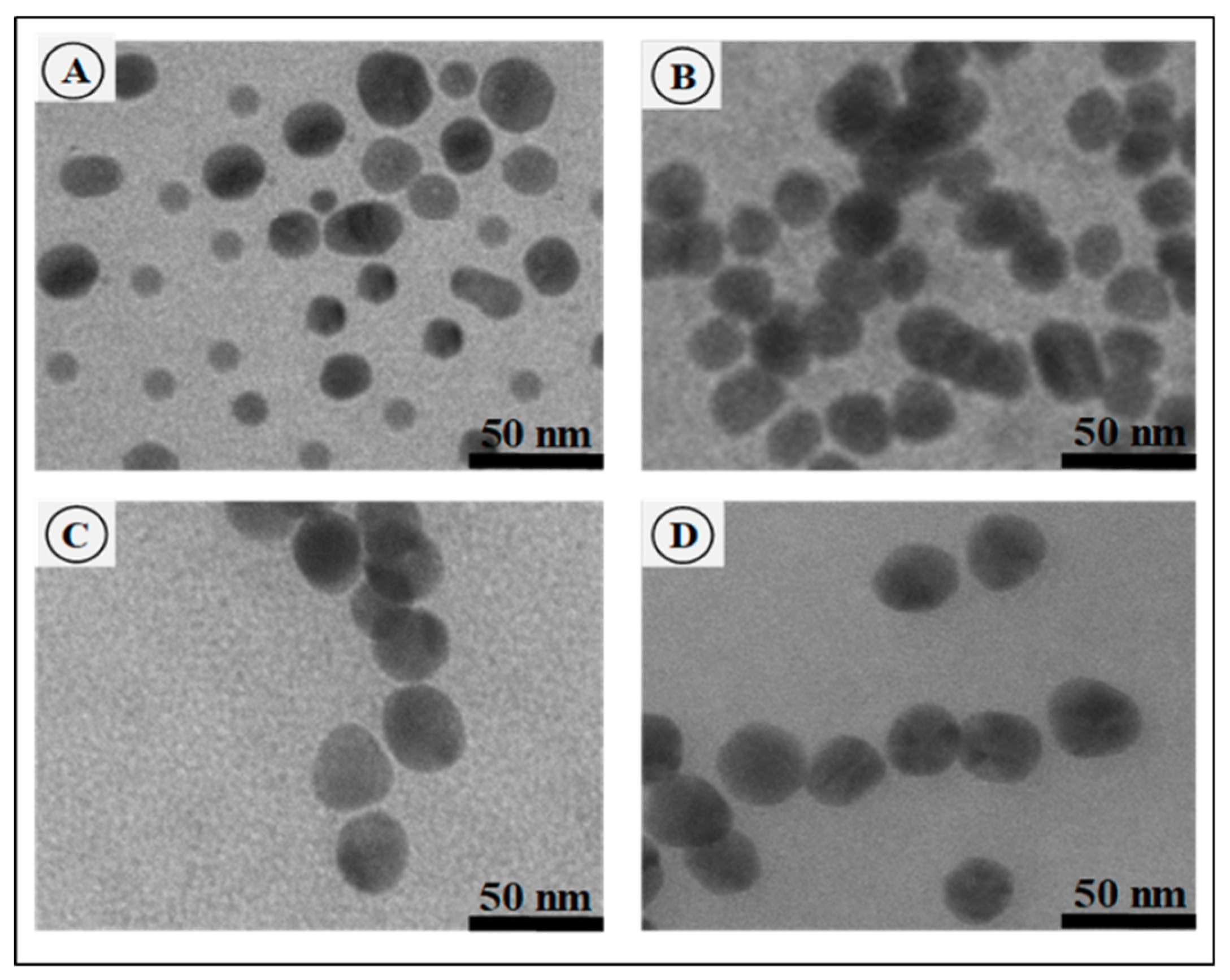 Pharmaceutics 11 00439 g002 Pharmaceutics 11 00439 g002