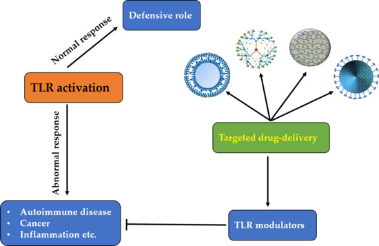 Pharmaceutics Free Full Text Toll Like Receptors And Relevant