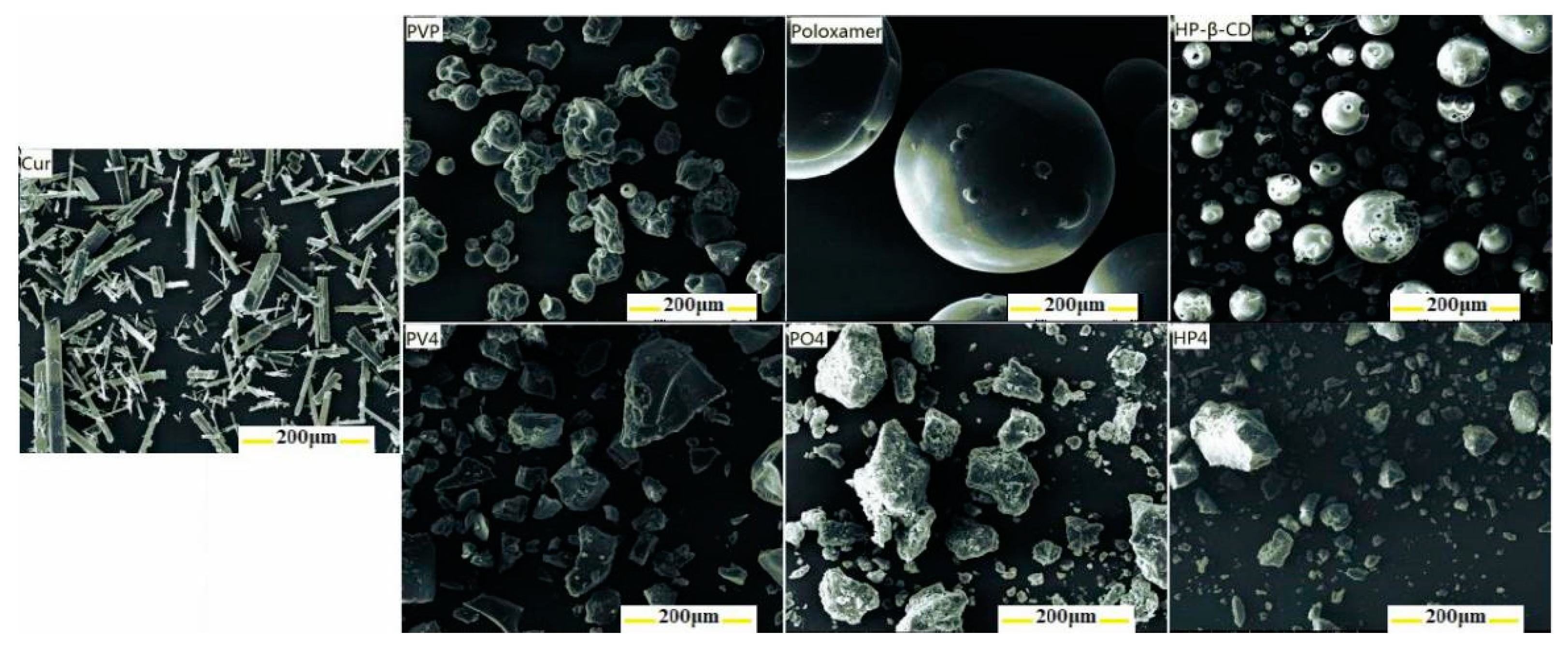 Pharmaceutics 11 00442 g005 550