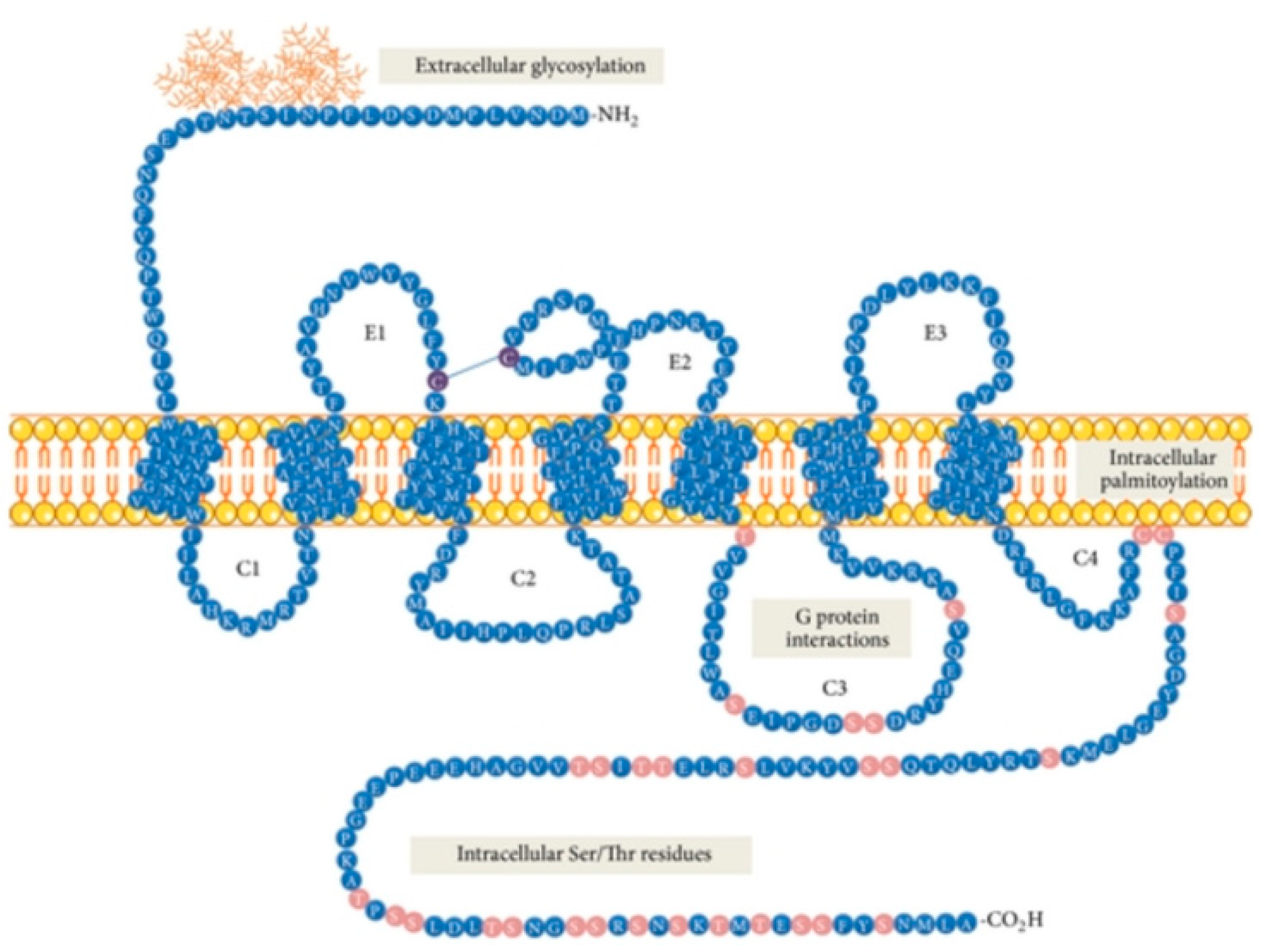 Pharmaceutics 11 00443 g001