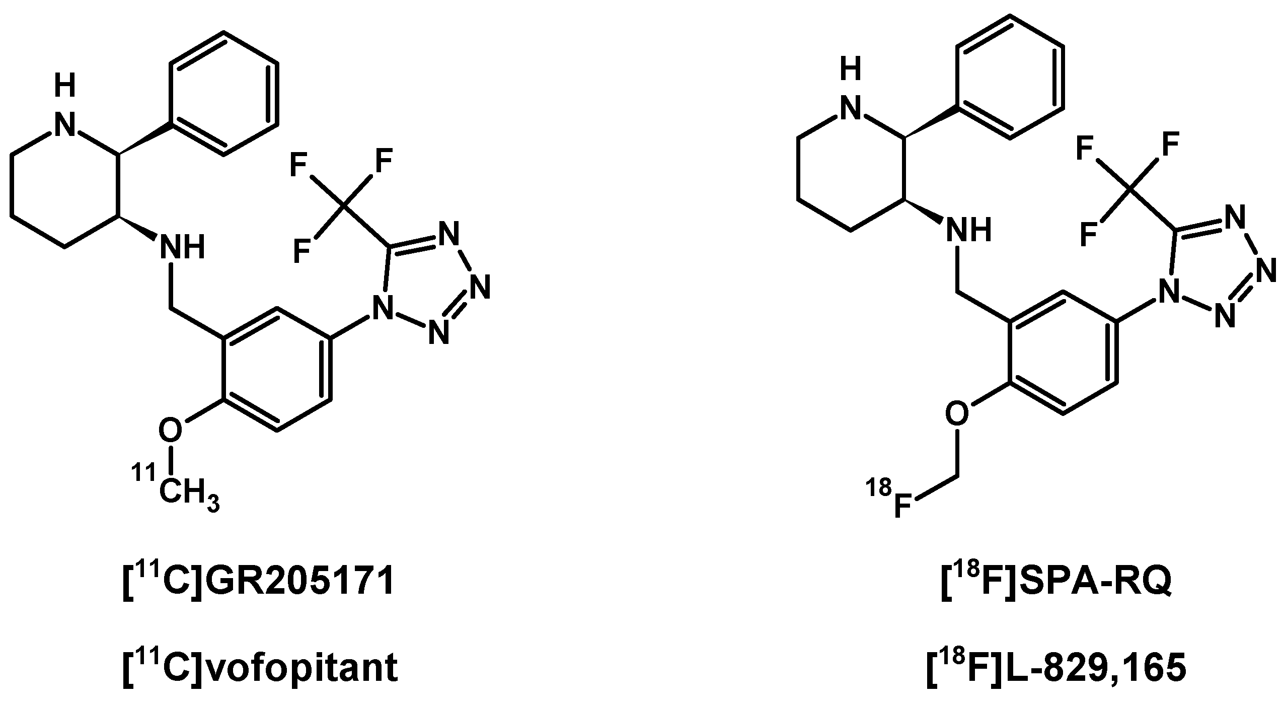 Pharmaceutics 11 00443 g005