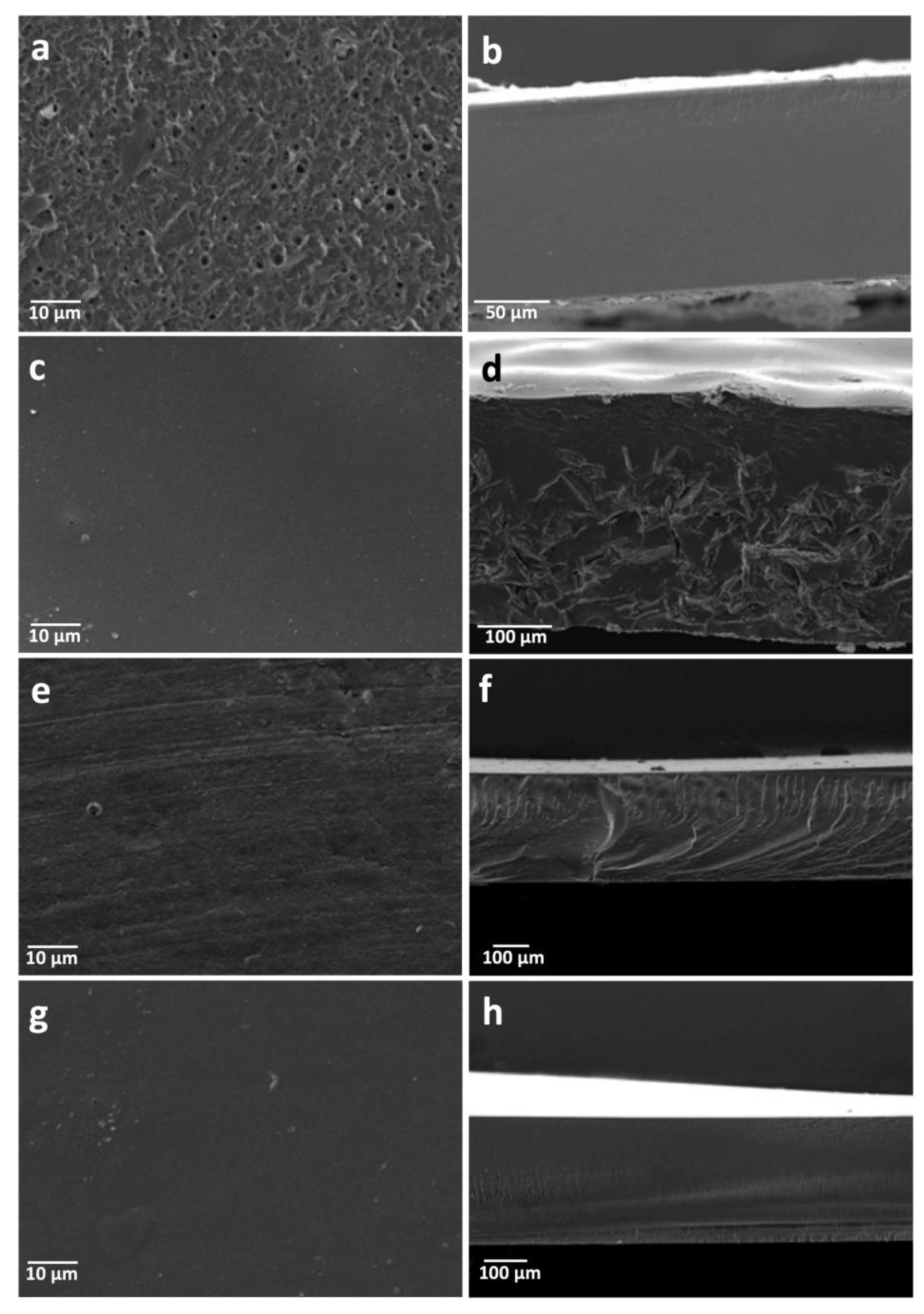 Pharmaceutics 11 00447 g004 Pharmaceutics 11 00447 g004