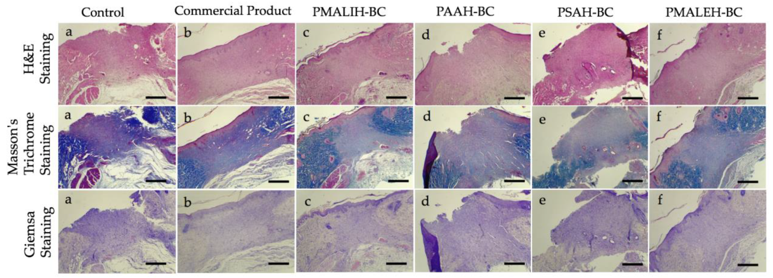 Pharmaceutics 11 00447 g006 Pharmaceutics 11 00447 g006
